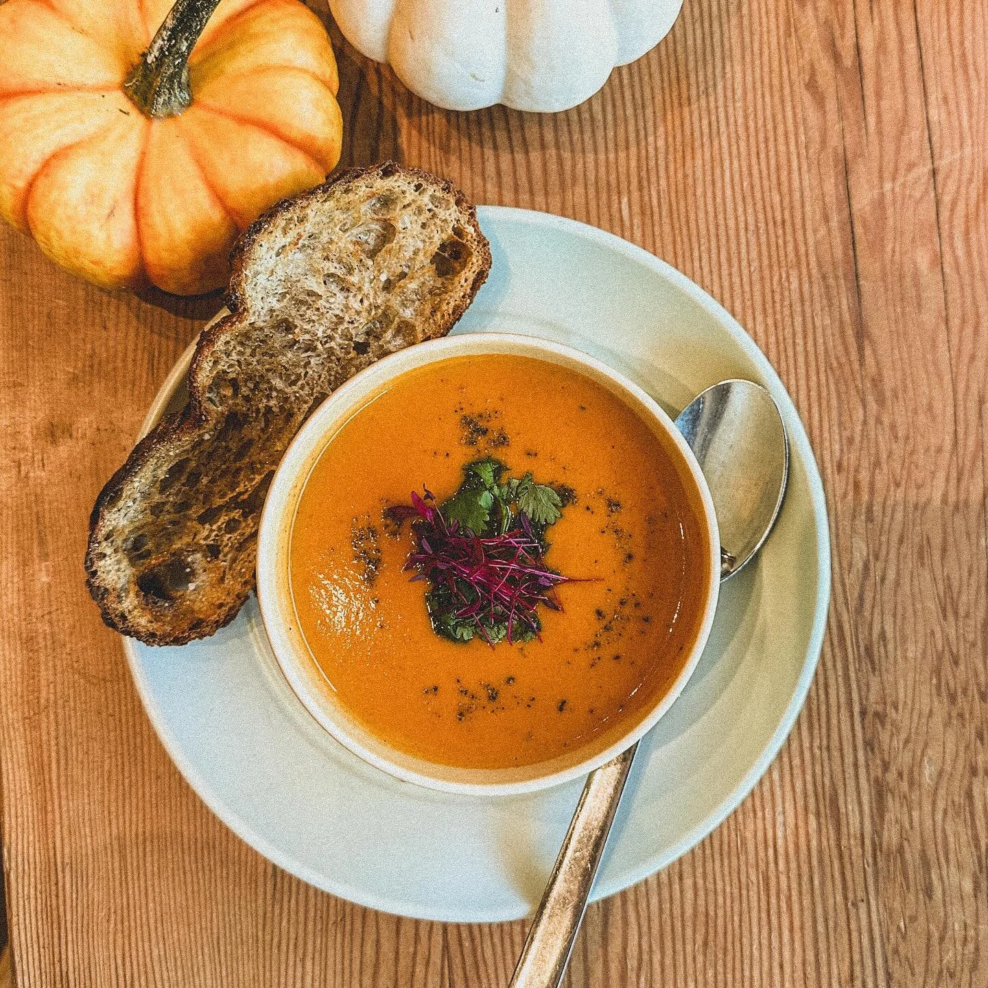 Some people wait all year for this season…soup season.