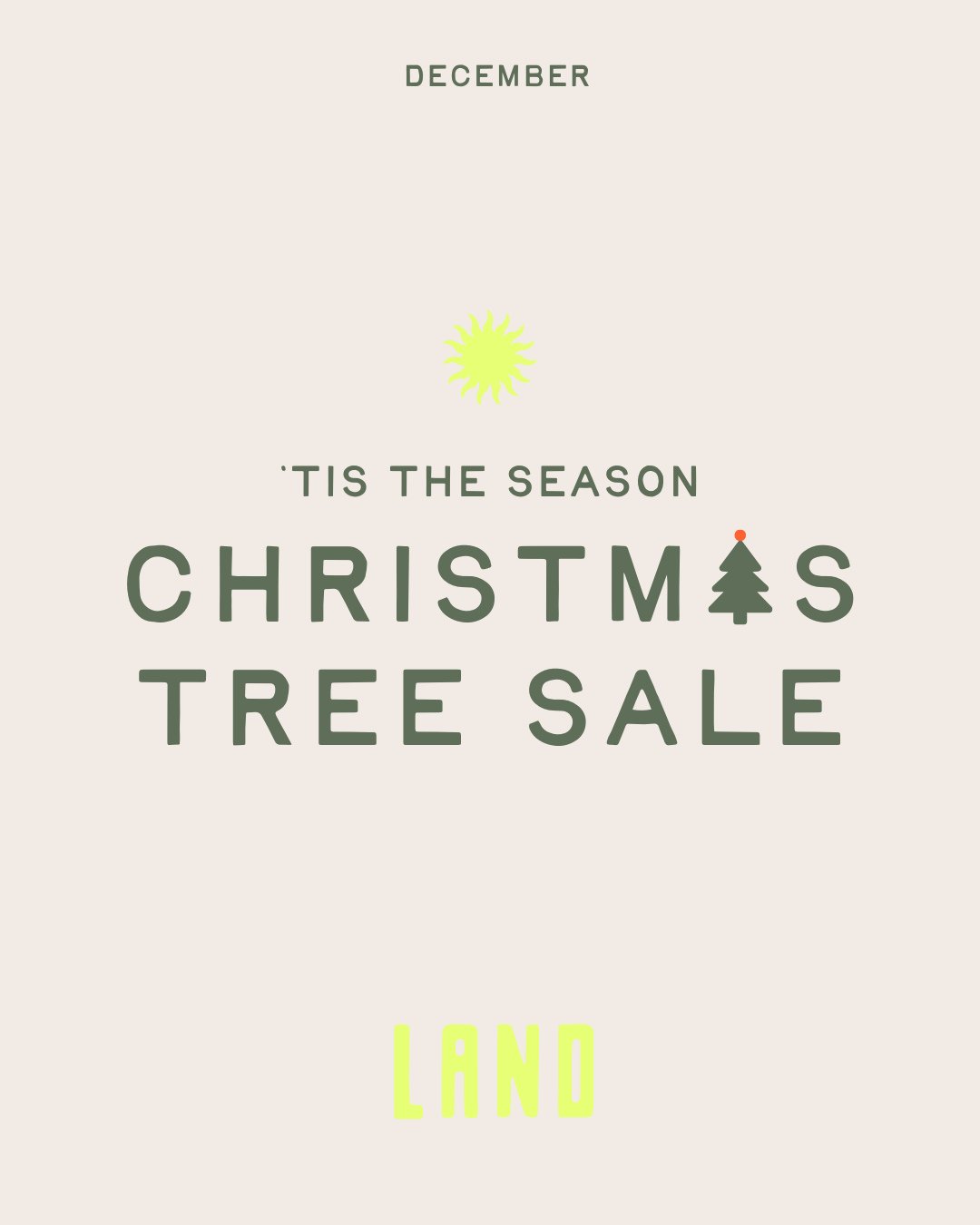 Our Annual Studio Christmas Tree Sale is back!⁠
⁠
🎁 Gift your loved ones the experience of moving their bodies, calming their nervous systems, connecting to community, and creating healthy habits for their 2026 year.