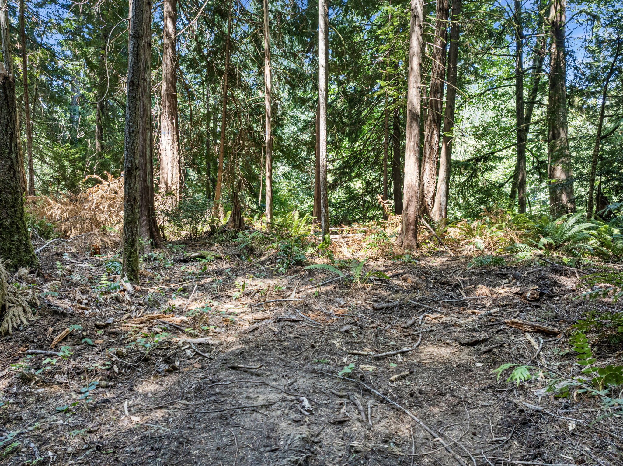10-web-or-mls-9999-olympic-view-loop-rd-nw.jpg