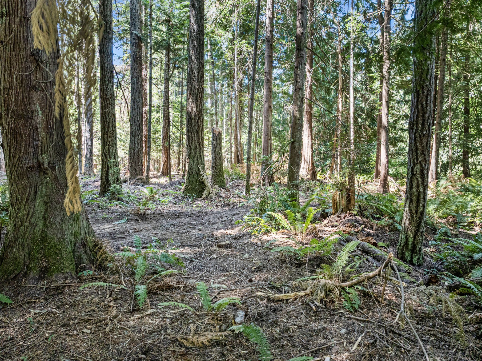 11-web-or-mls-9999-olympic-view-loop-rd-nw.jpg