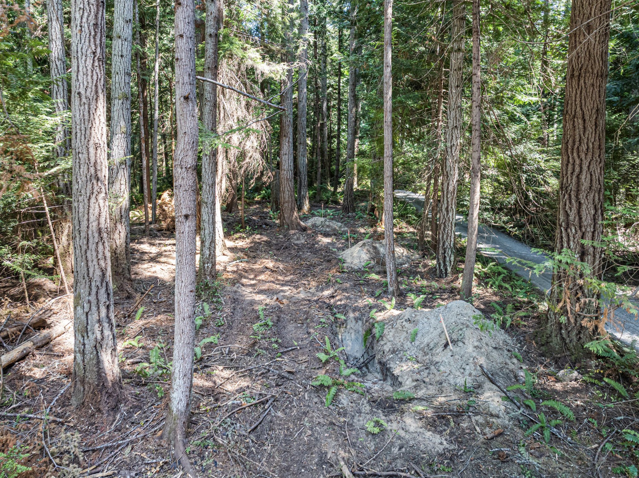 15-web-or-mls-9999-olympic-view-loop-rd-nw.jpg