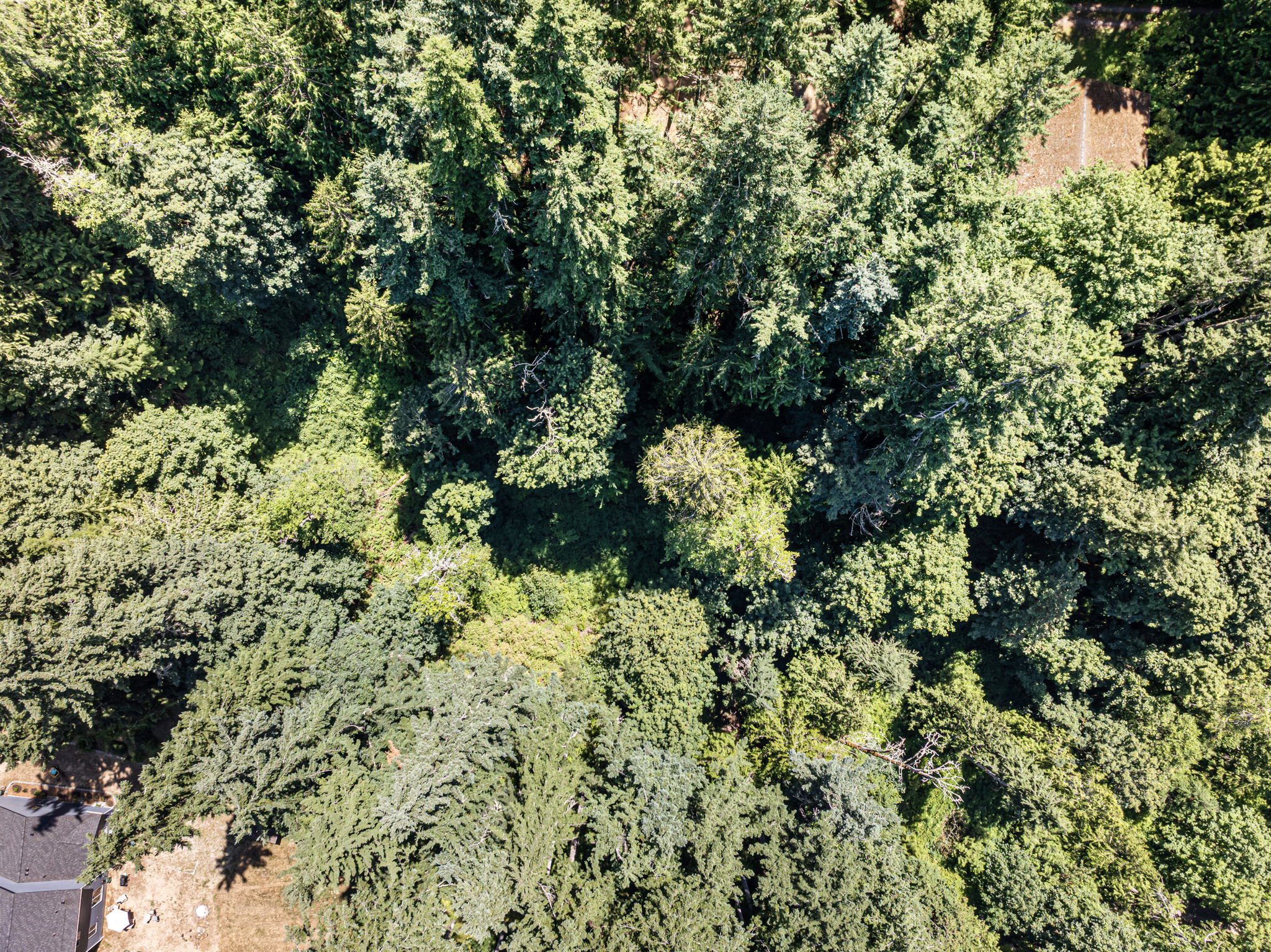 16-web-or-mls-9999-olympic-view-loop-rd-nw.jpg