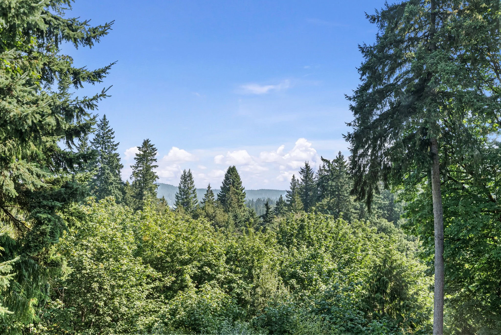 19-web-or-mls-16110-cassie-pl-nw.jpg