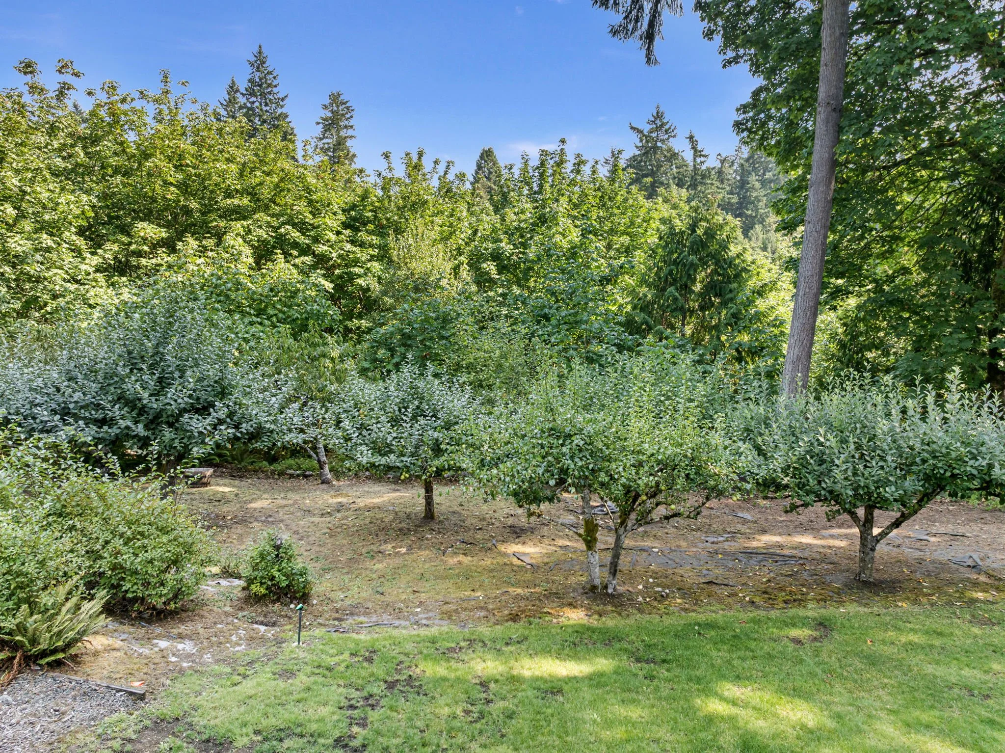 32-web-or-mls-16110-cassie-pl-nw.jpg