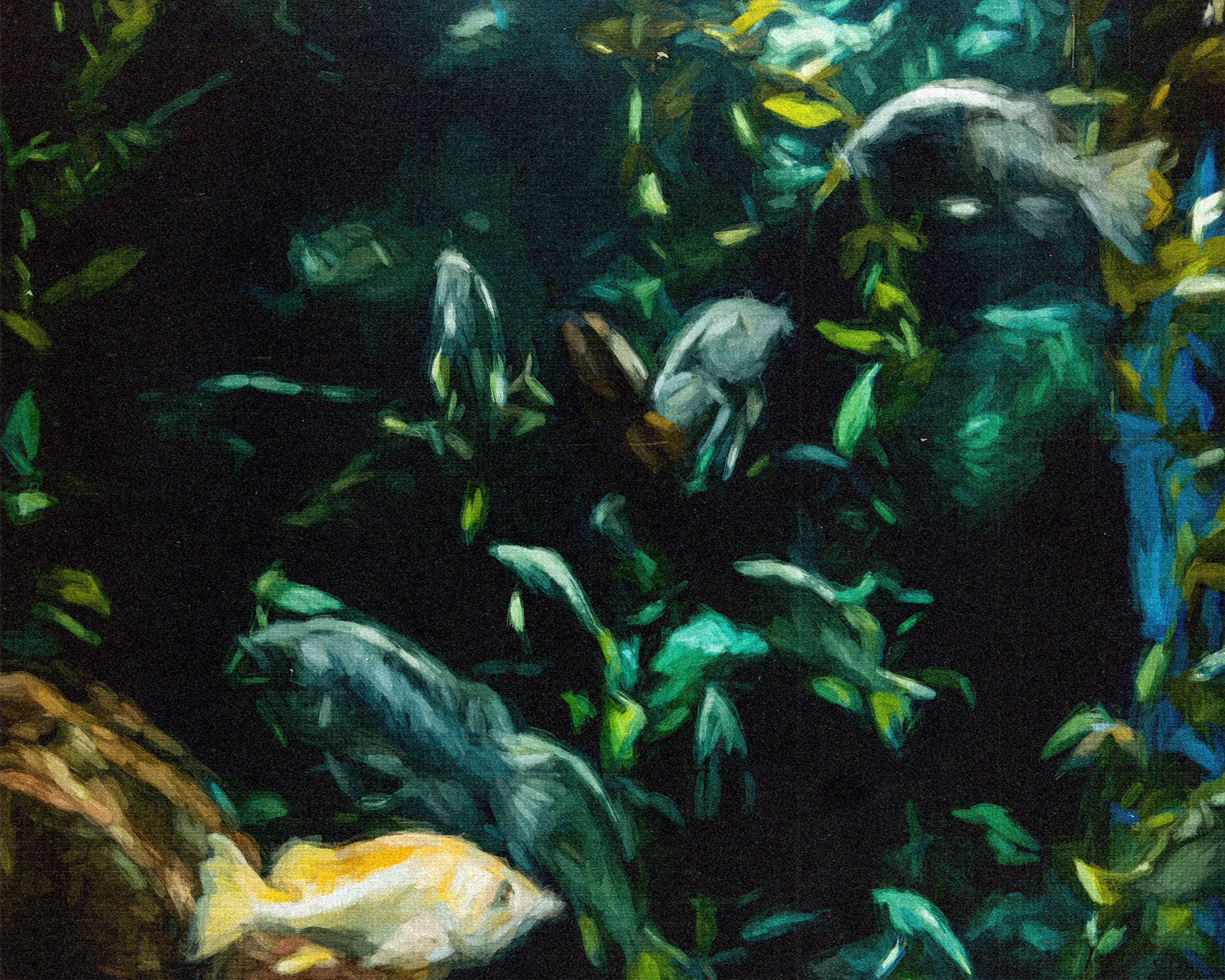 fishfinal4.png