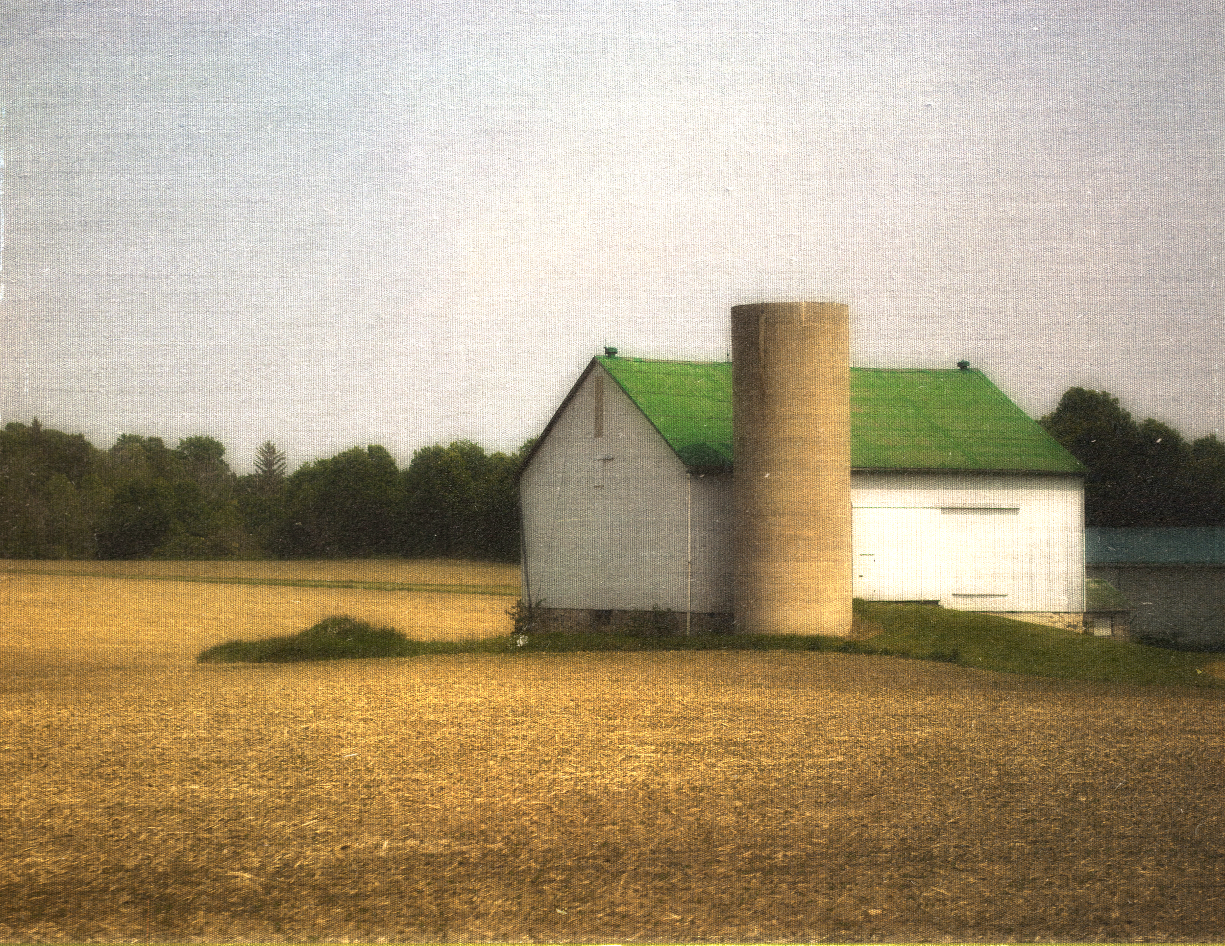 barn green roof.png