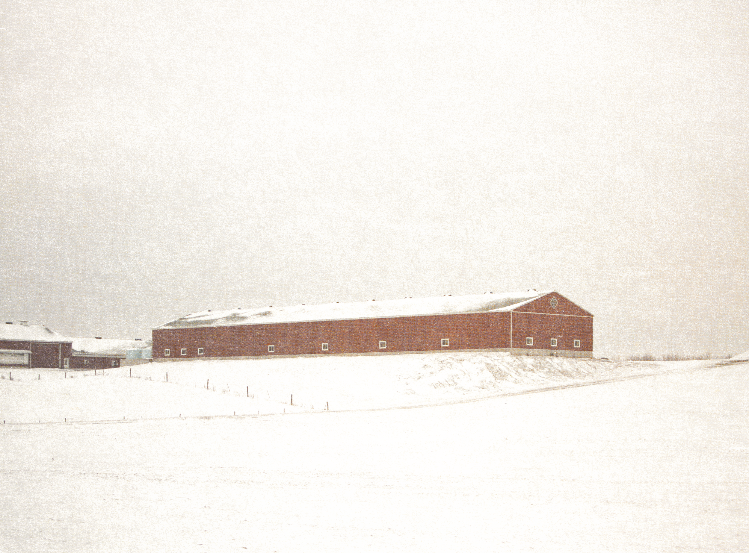 farm texturized.png
