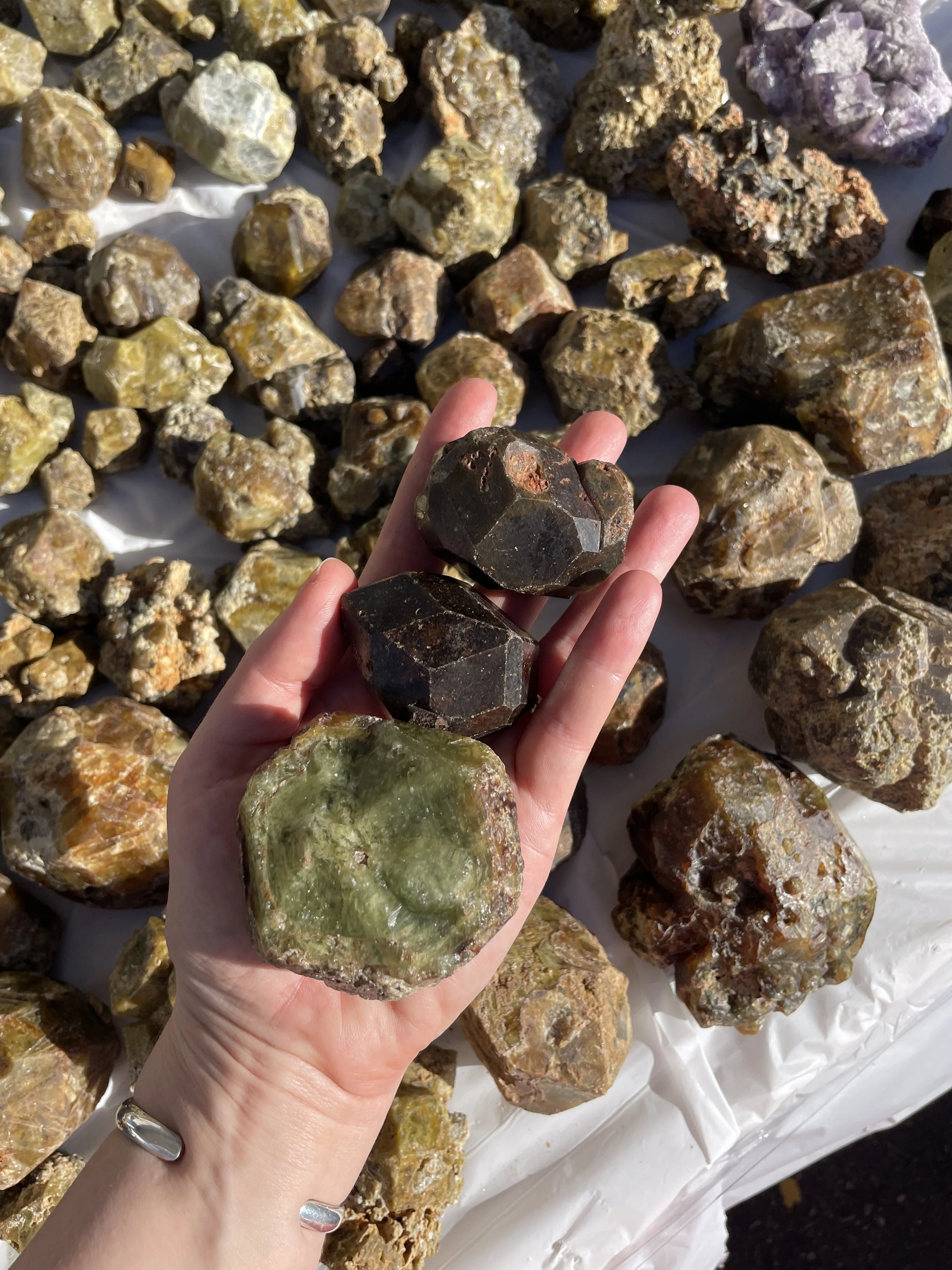 A handful of garnets