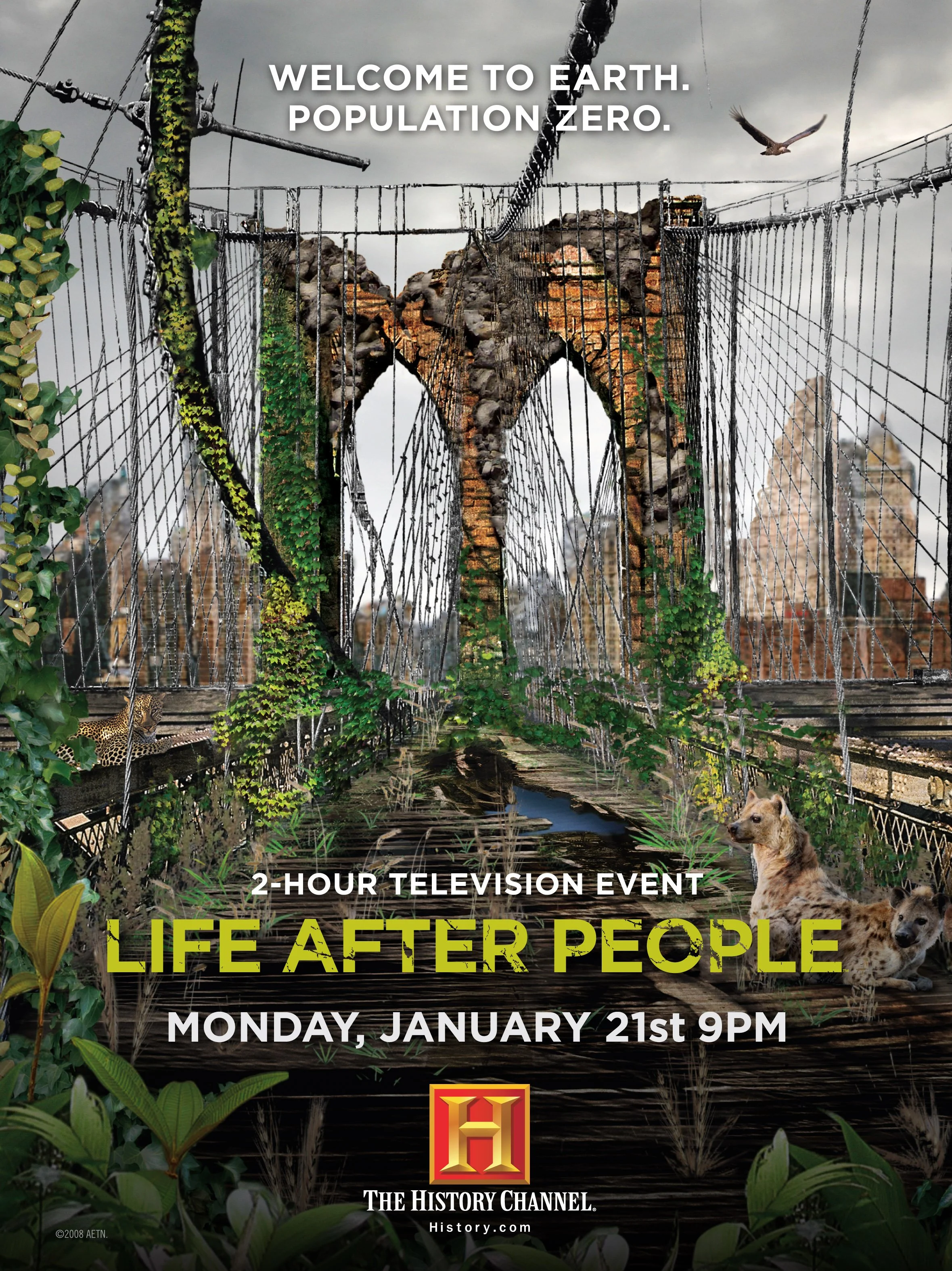 Life After People