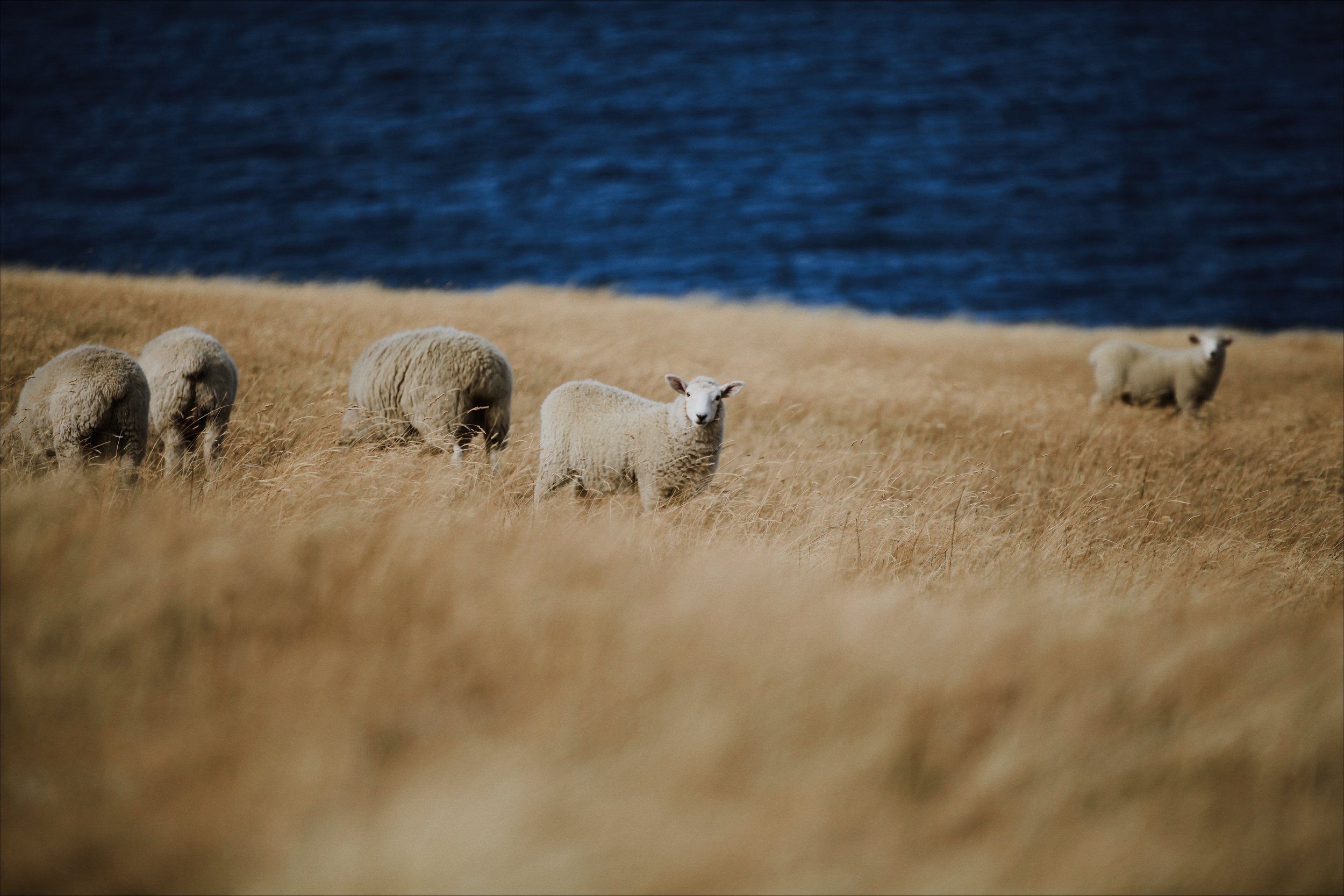 Right: Photo by Wenhao Ji.