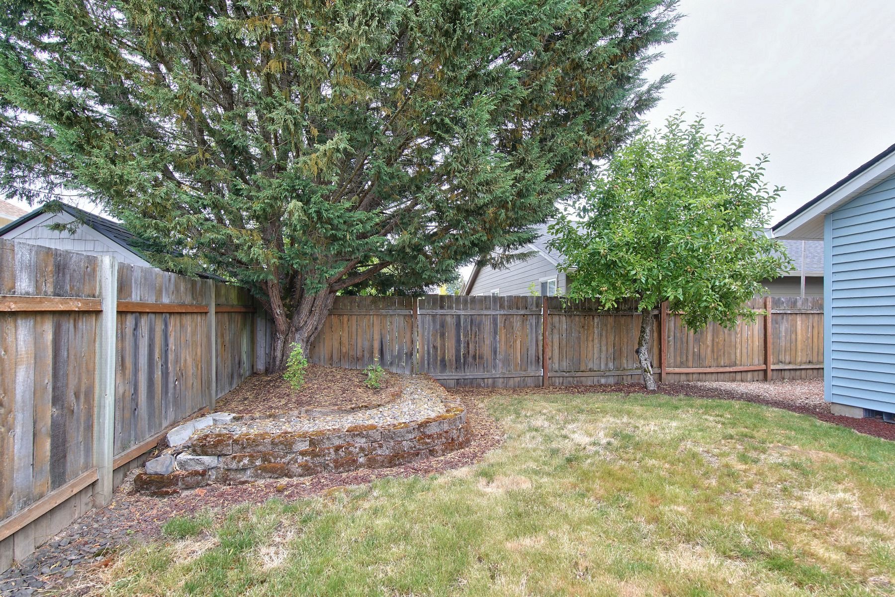 15 Madison backyard.jpg