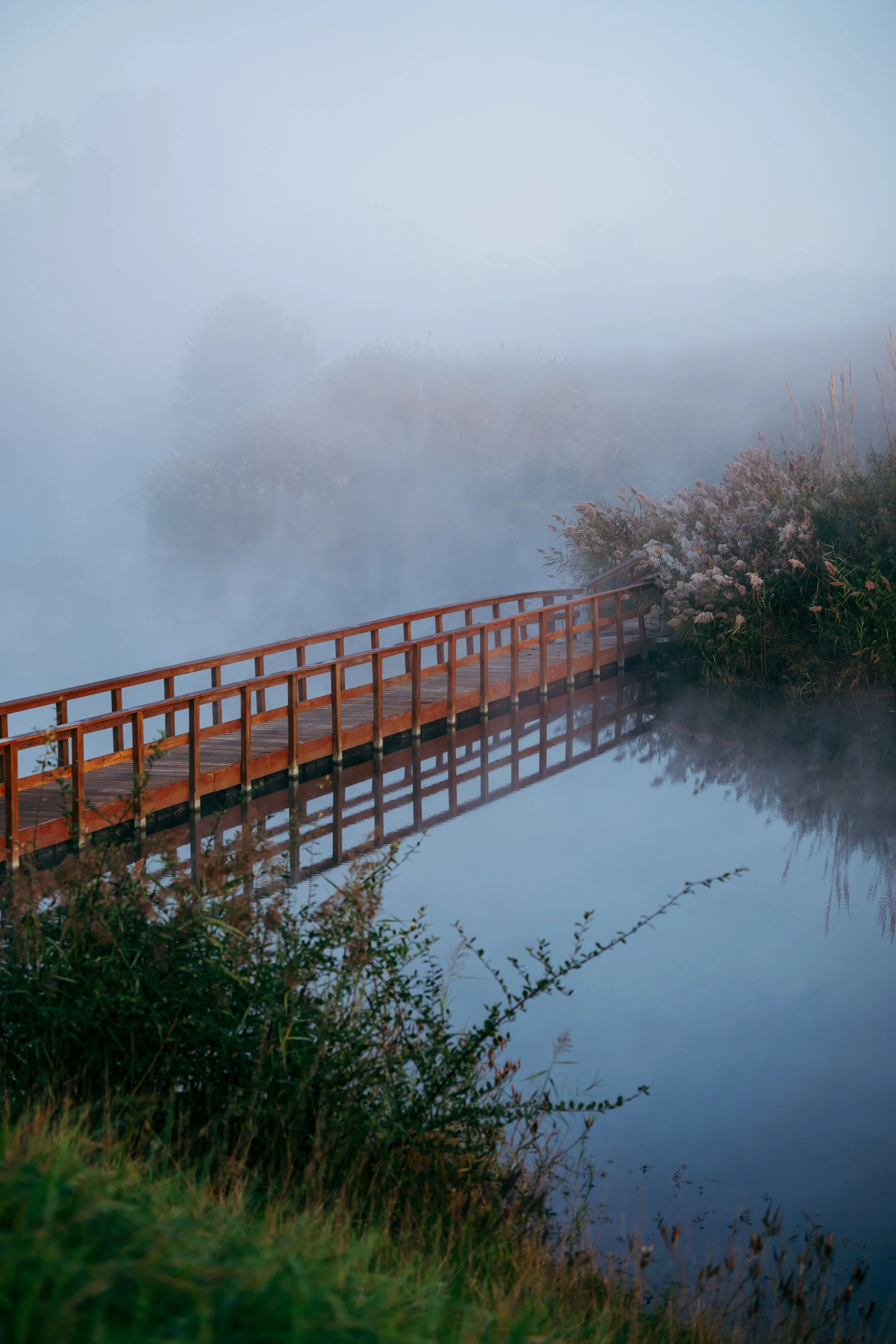 VN-Victoria National - Gauntlet 2024 - Marsh -023.jpg