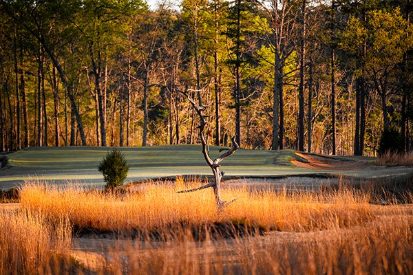 Dormie Club Hole #16