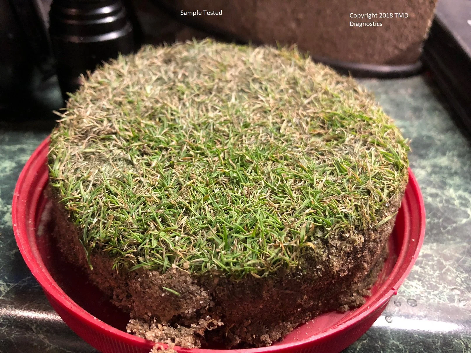 Soil sample