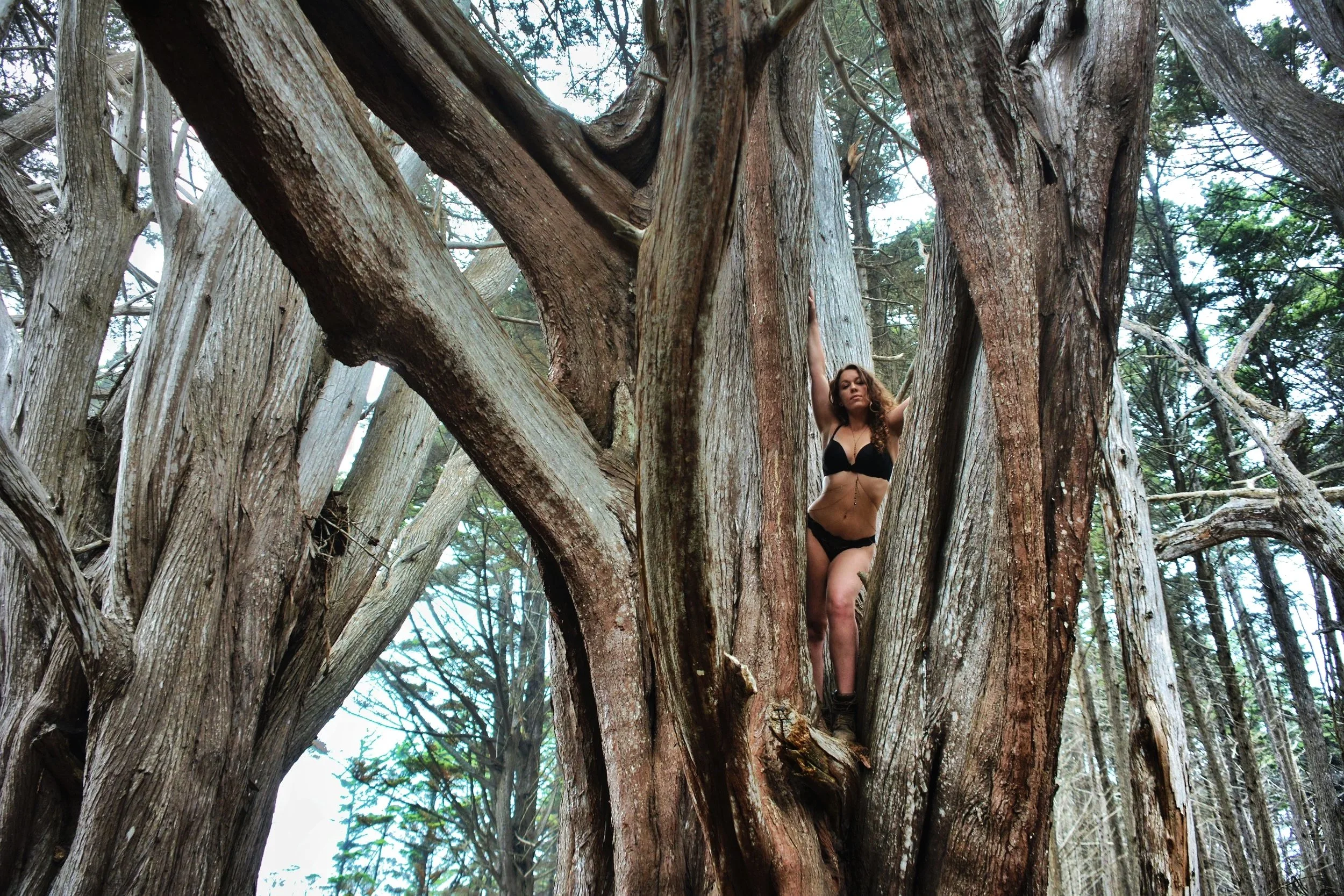 A woman in black panties and boots standing inside the hollow of a large tree trunk, surrounded by other trees in a forest.