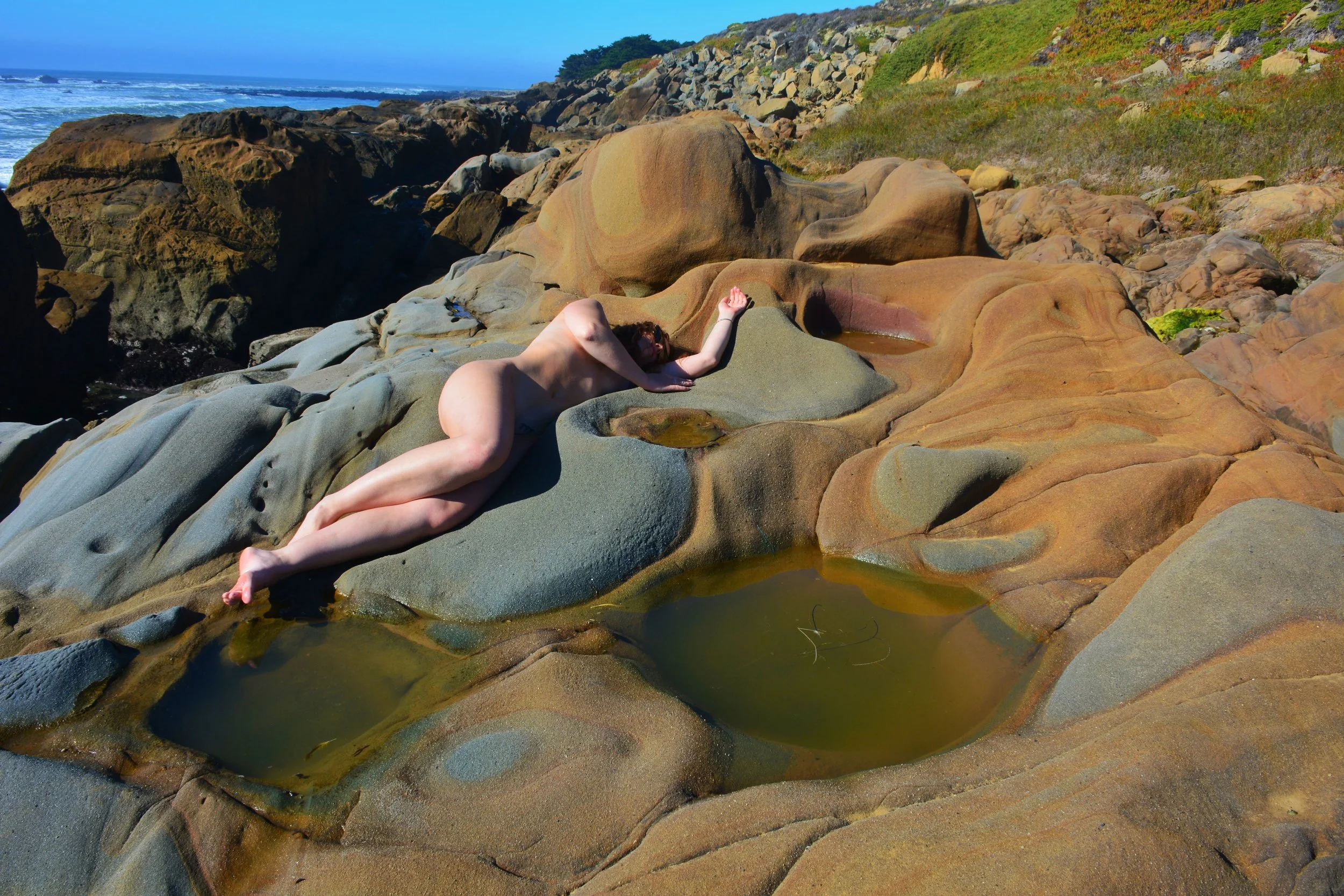 Bluehorse Photography