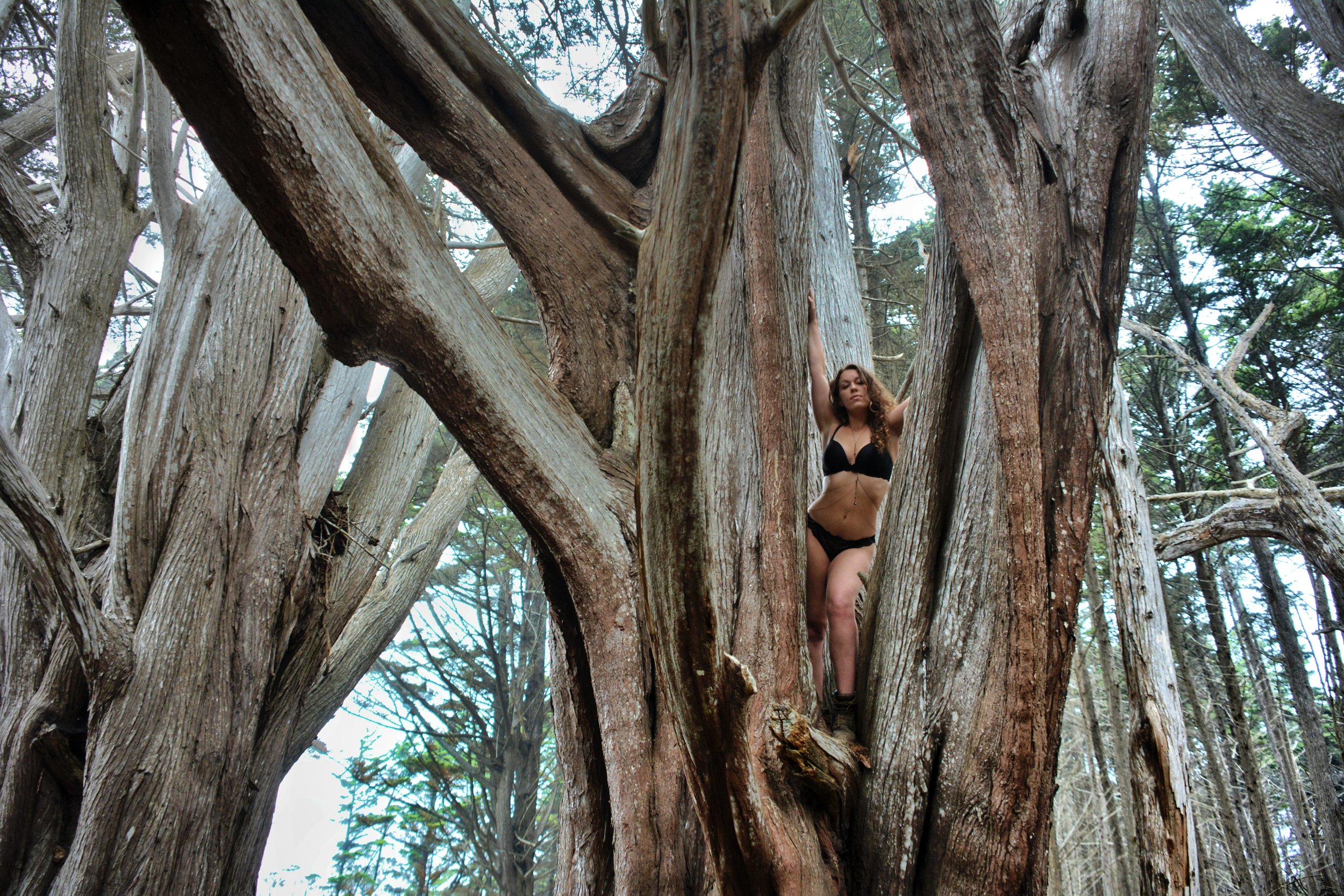 Bluehorse Photography