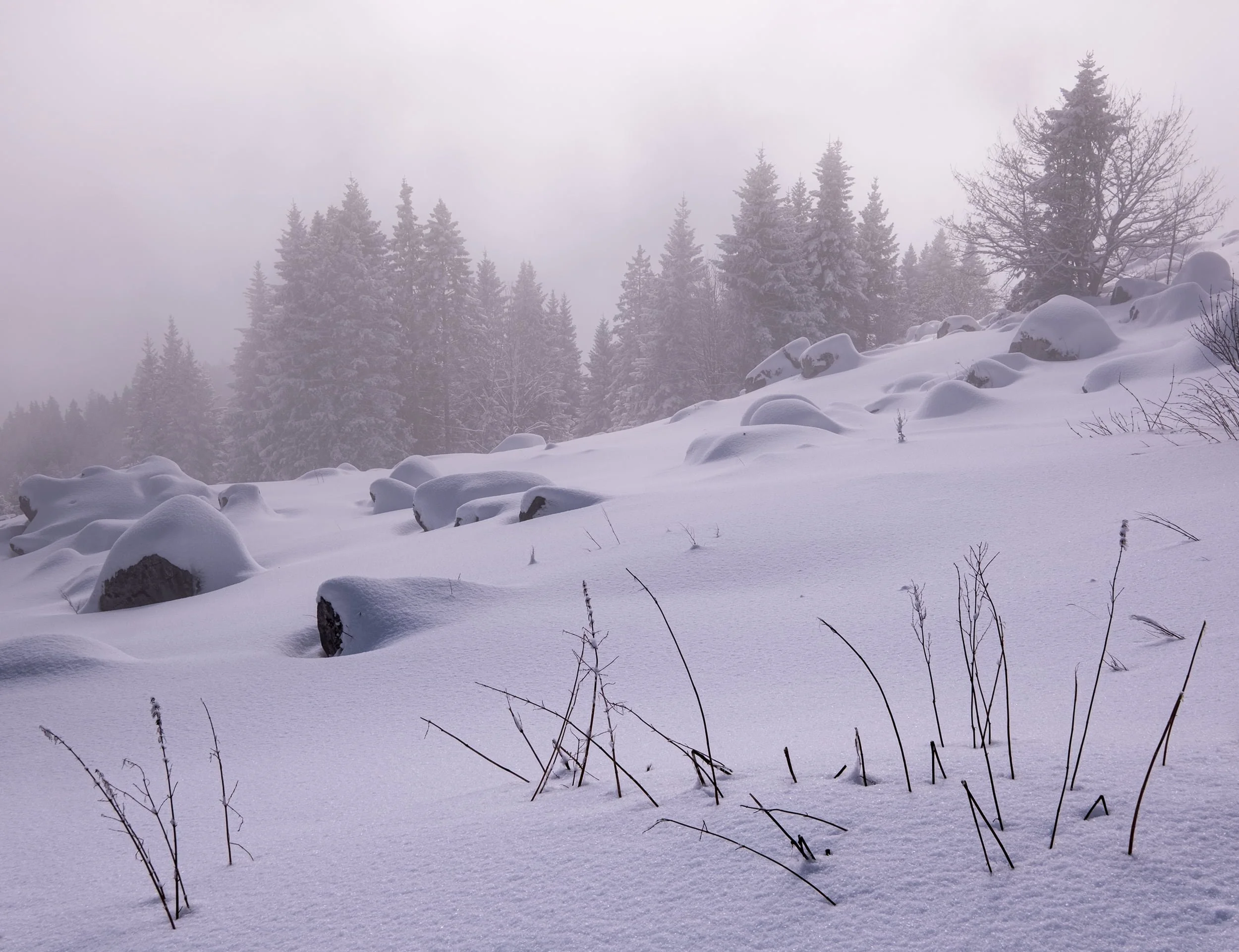 Engelberg by fog.jpg