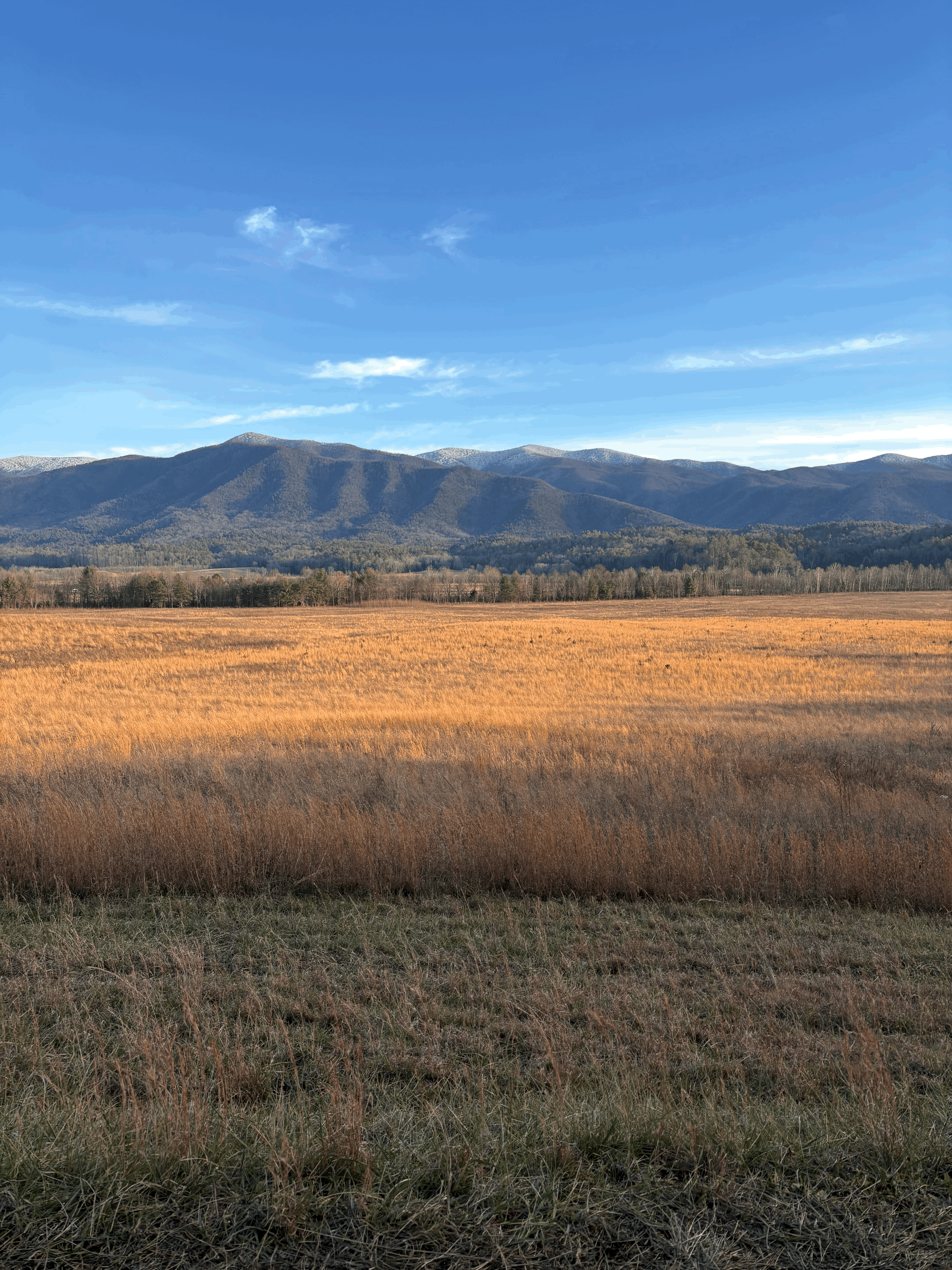 Mountains