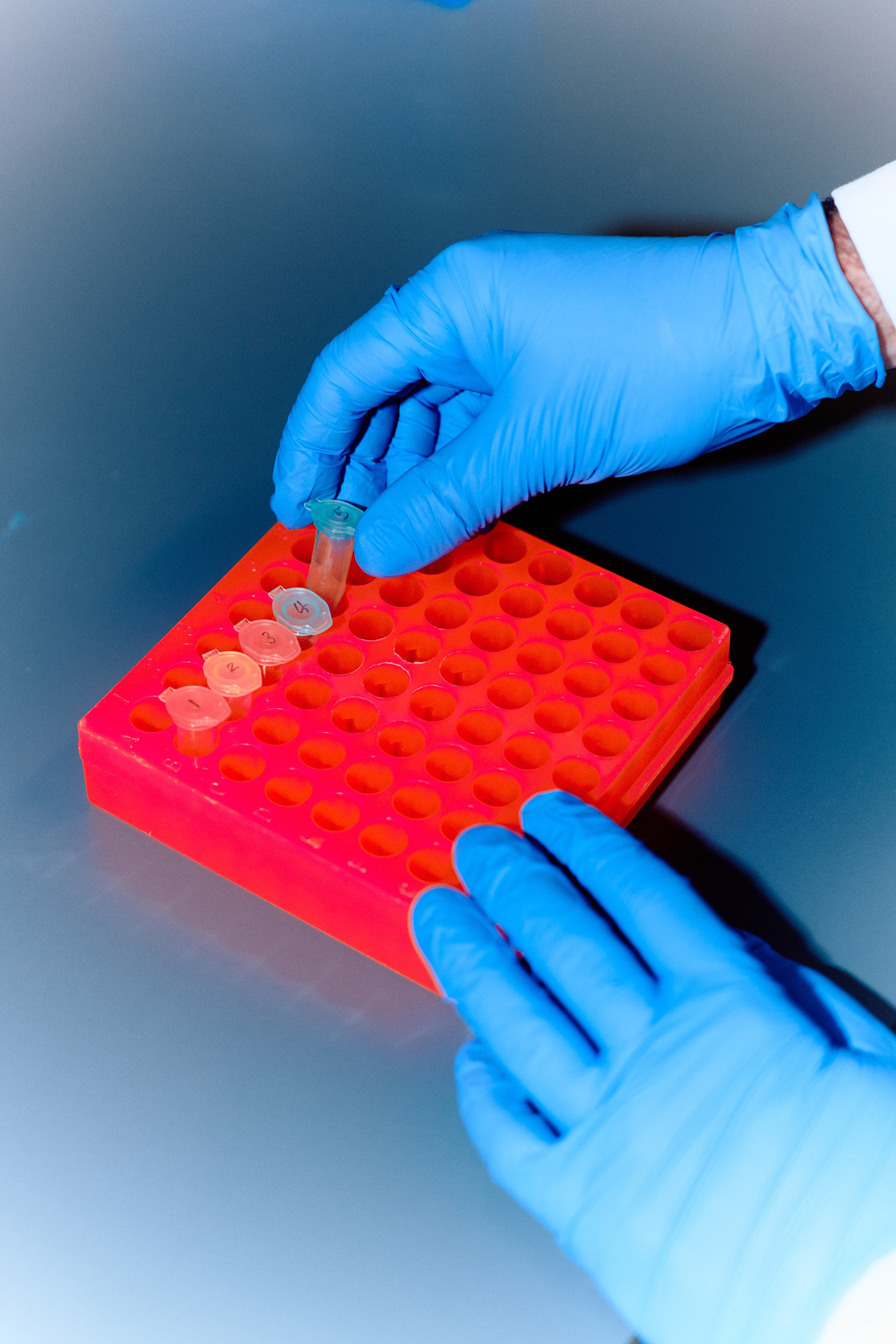 DFOUTS_JOHN-McCormick_PARROTS_0047 (2).jpg