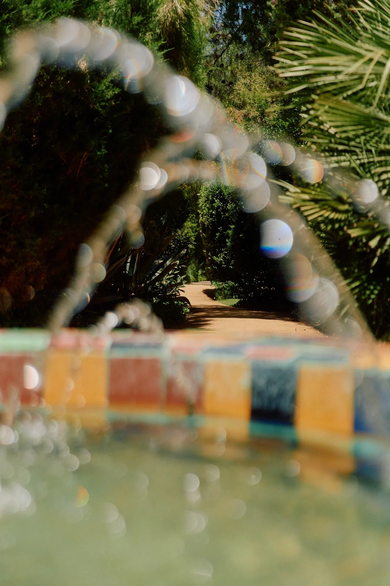 DFOUTS_THE_PARKER_PALM_SPRINGS_HIGH_RES__0009.jpeg
