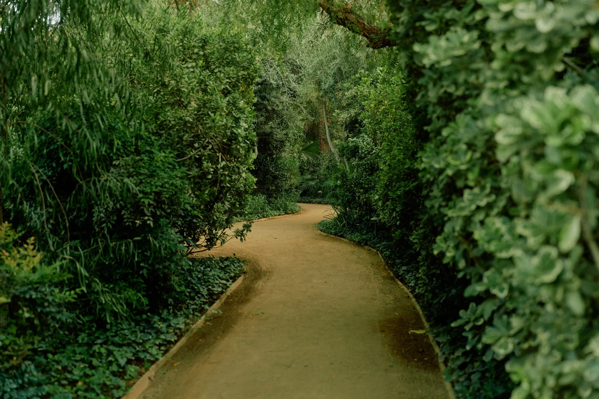 DFOUTS_THE_PARKER_PALM_SPRINGS_HIGH_RES__0264.jpeg