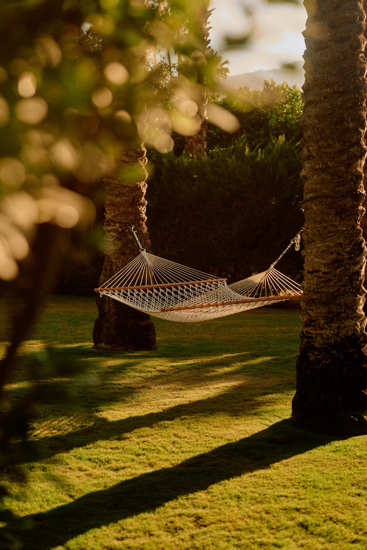 DFOUTS_THE_PARKER_PALM_SPRINGS_HIGH_RES__0223.jpeg