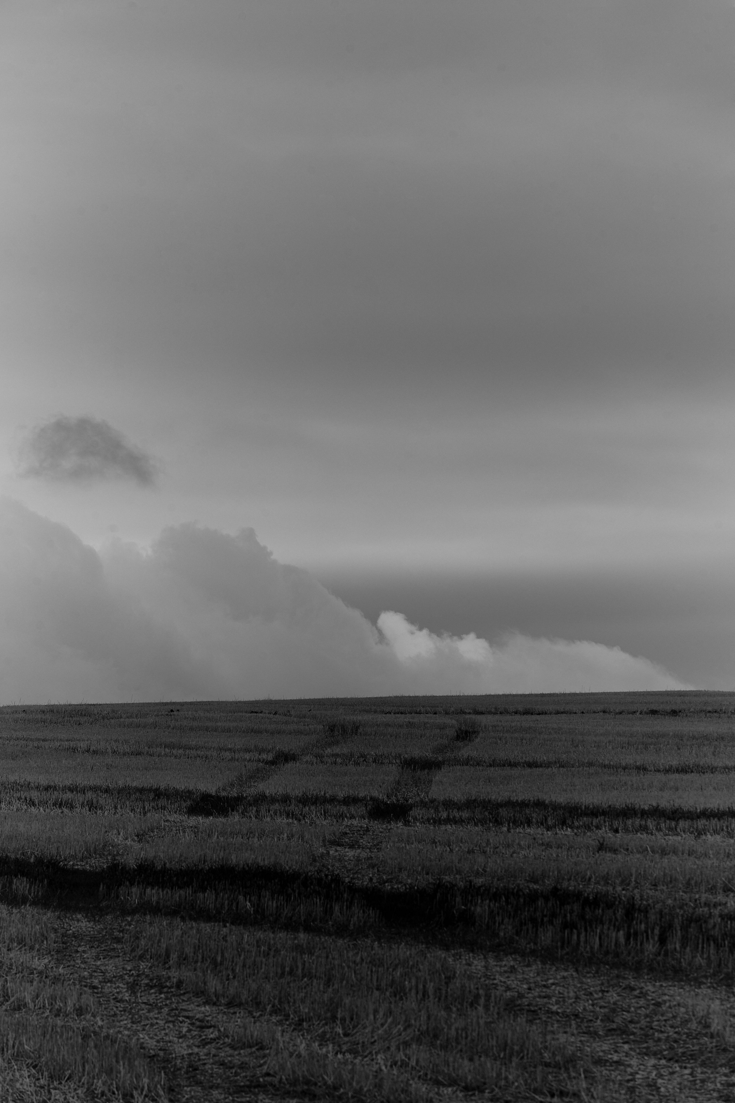 DFOUTS_BOZEMAN_114.jpg