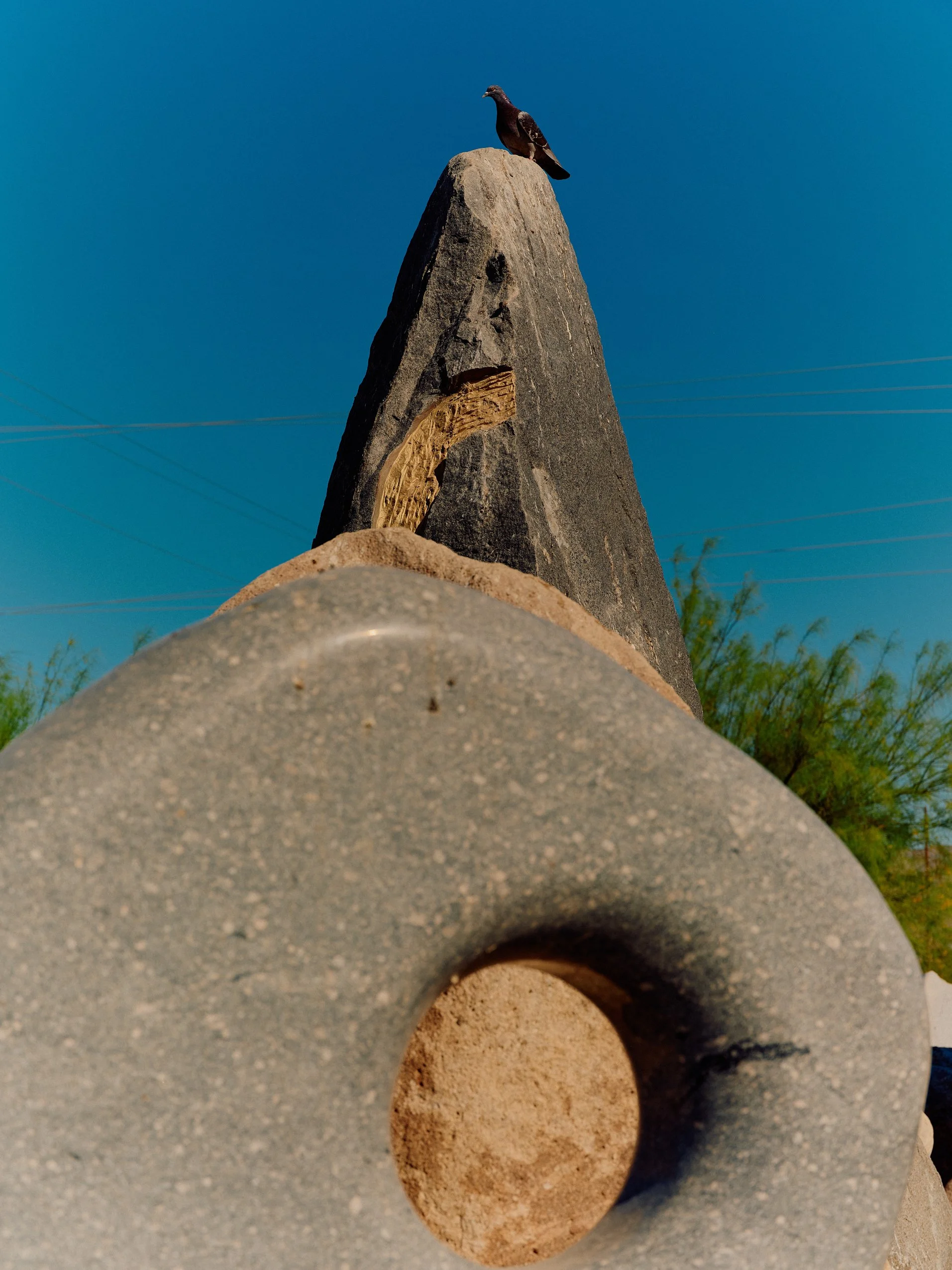 DFOUTS_HOPKINS_SCUPLTURES_0057.jpeg