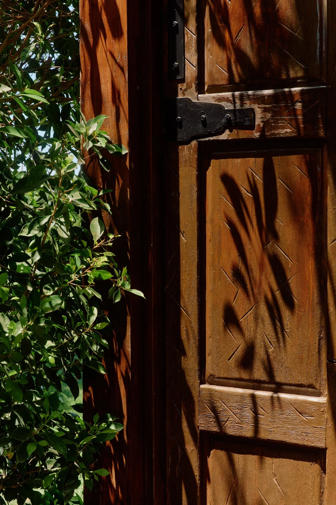 DFOUTS_THE_PARKER_PALM_SPRINGS_HIGH_RES__0034.jpeg