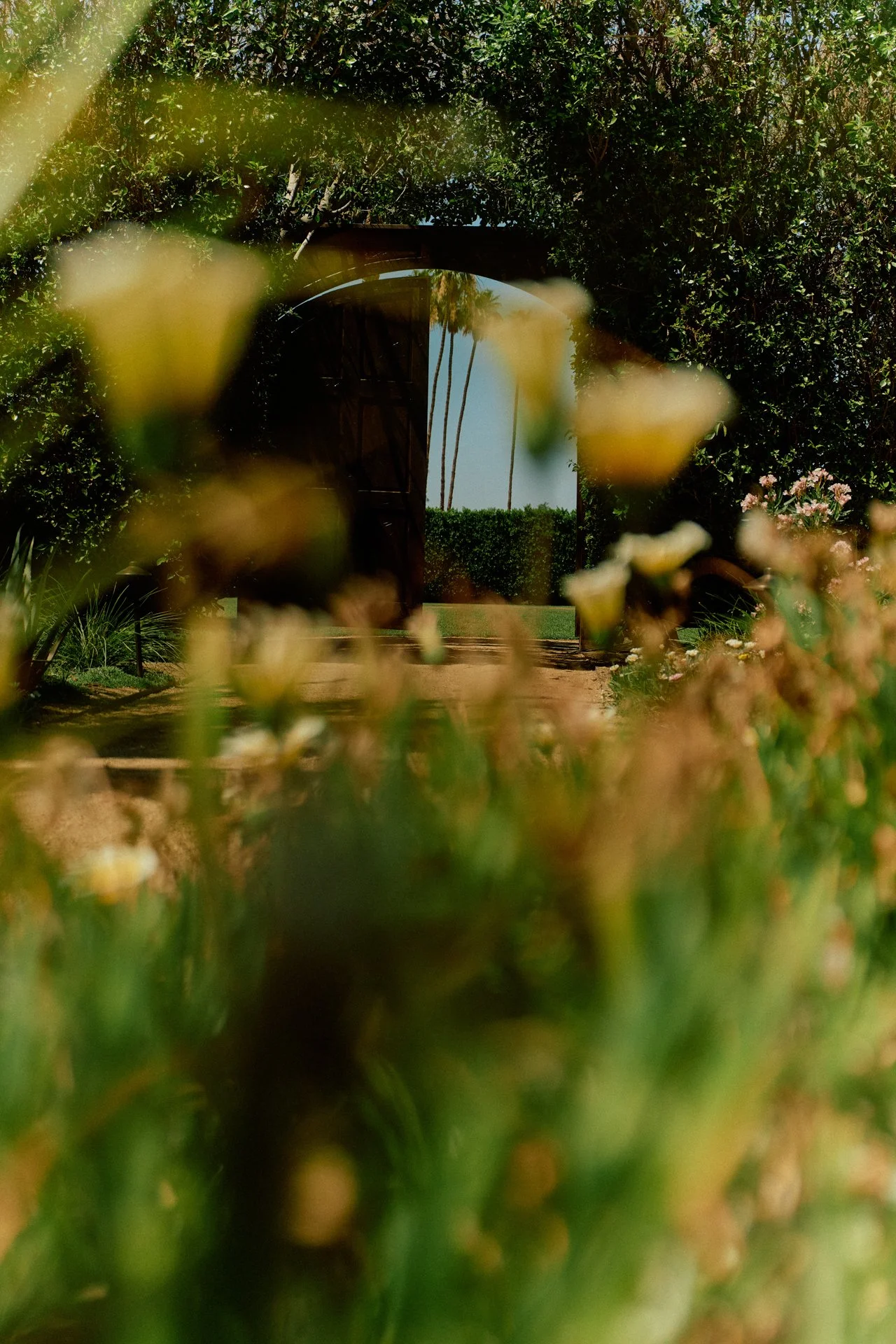 DFOUTS_THE_PARKER_PALM_SPRINGS_HIGH_RES__0104.jpeg