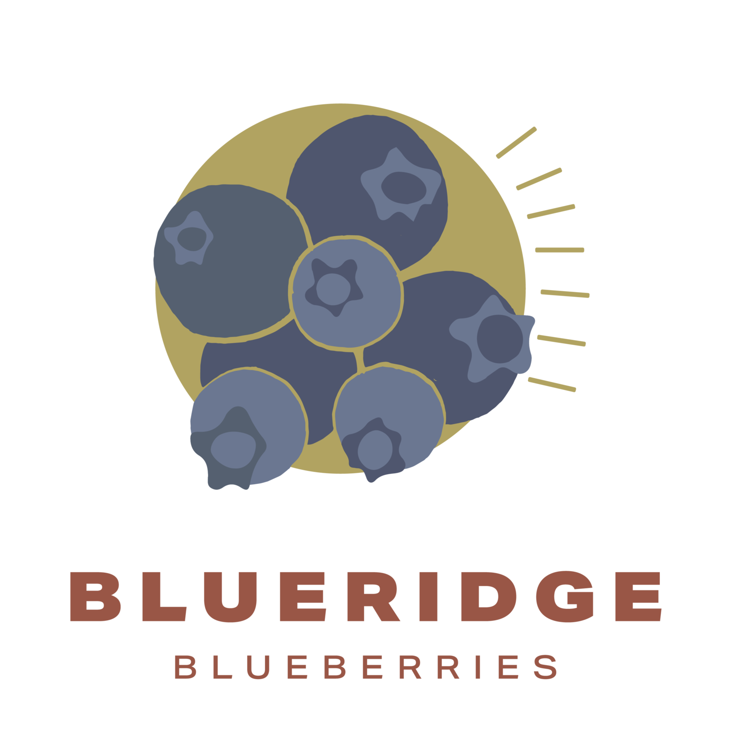 Blue Ridge Blueberries