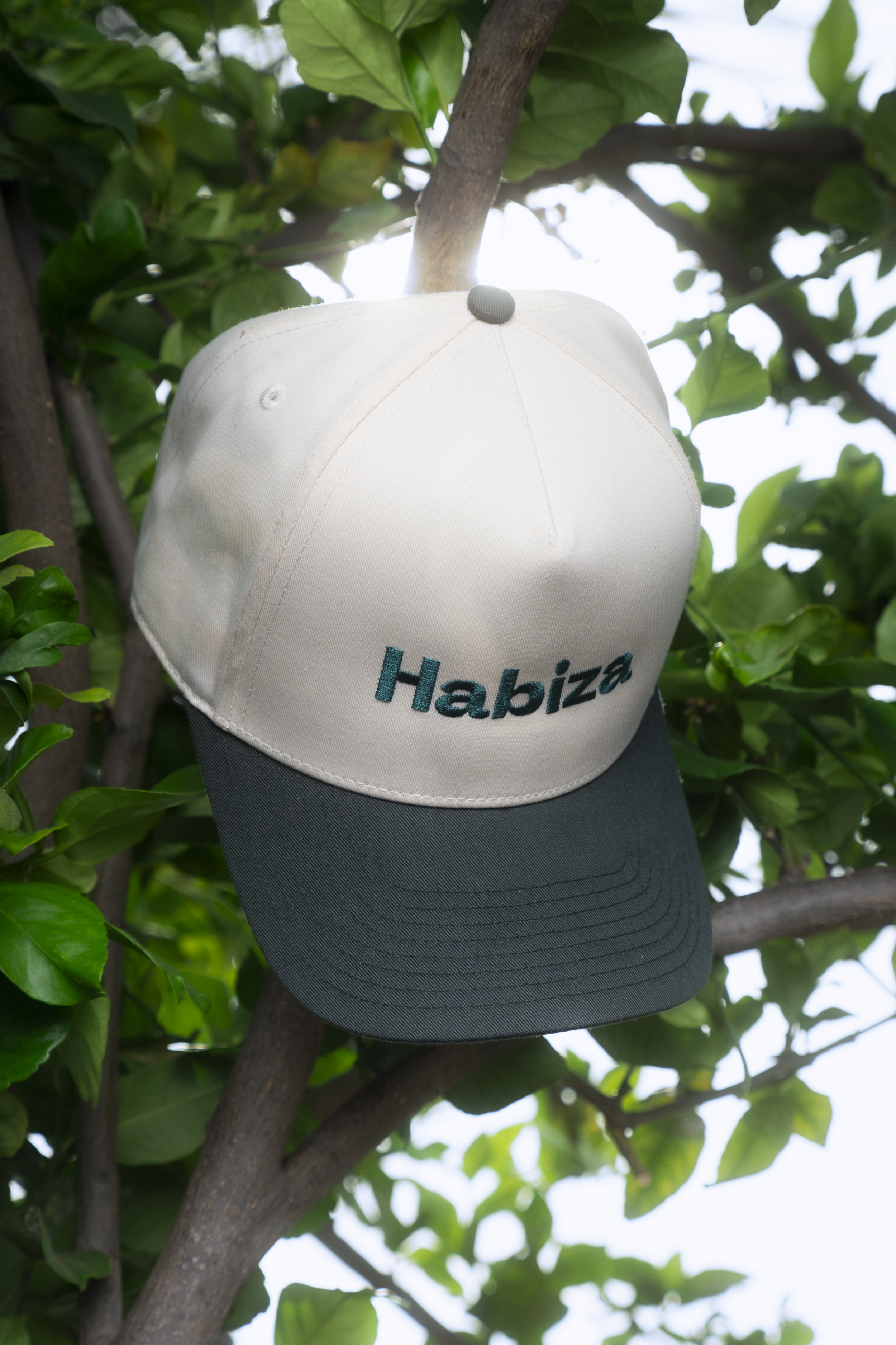 habiza 3x2 finals-47.png