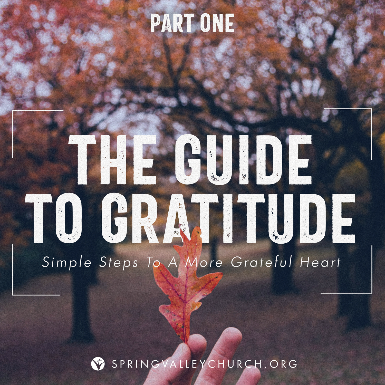 The Guide To Gratitude: Part 1 episode artwork