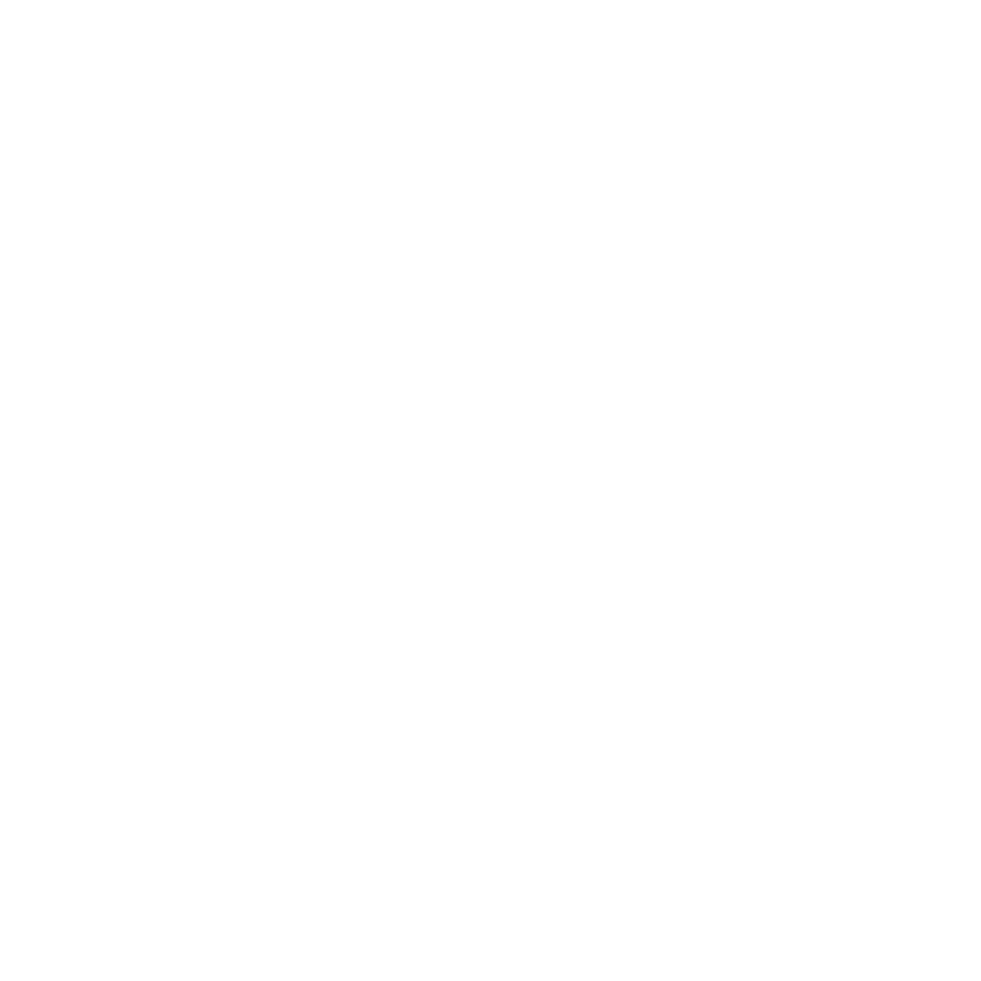 MARTIN PERRY LUTZ