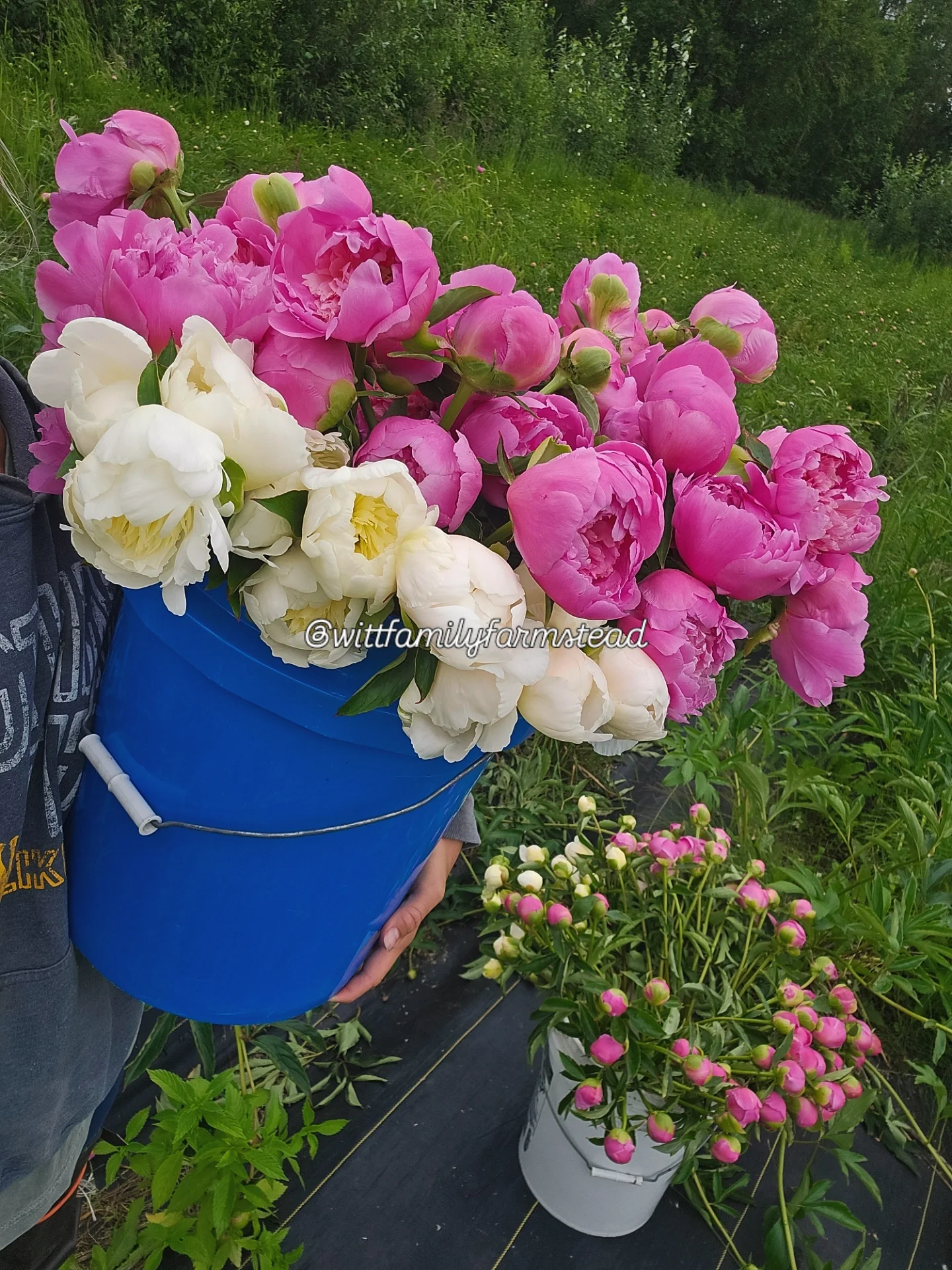 IMG_20250707_161844_725.webp