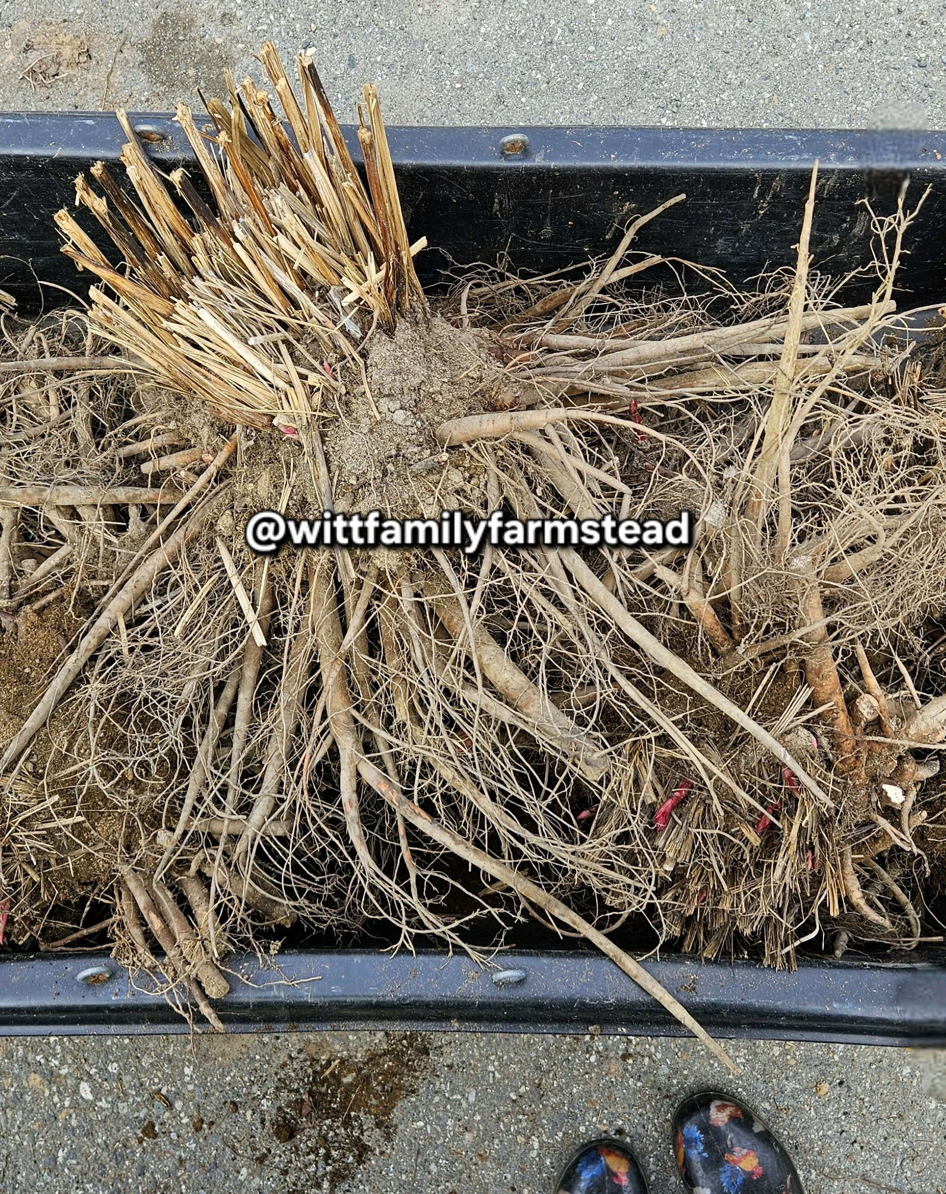 20240516_141349(1)(1).jpg (Copy)