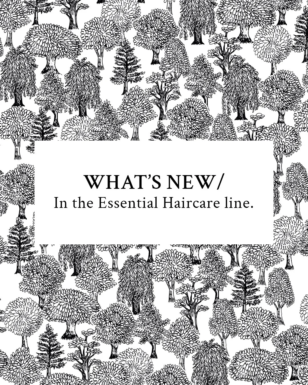 Davines Essentials Is Evolving (Here’s What That Means for You)