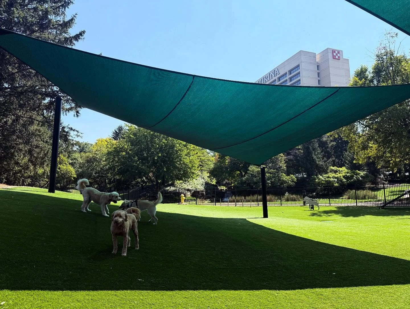 It&rsquo;s a furry #FreshAirFriday with a dispatch from the bestest boy, Kenny, and his other Pet Associates over at the newly shaded BarkYard at @purina . Working with the lovely experts at Nestle Purina has included large projects and small interve