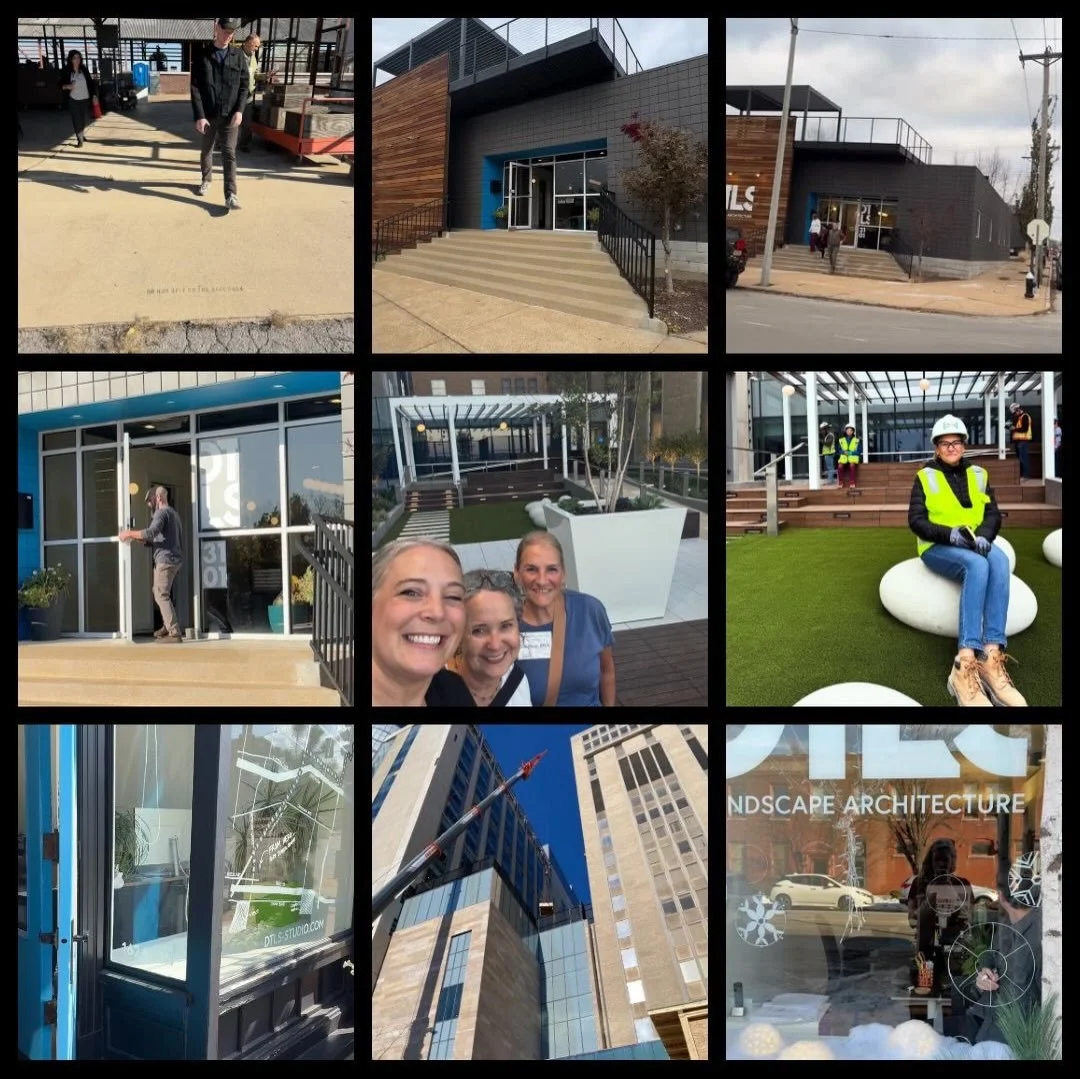 A note of thanks for 2025: 
Thank you for the lessons.  Thank you for the collaboration. Thank you for the support. Thank you for the challenges. Thank you for the movement. Thank you for the stillness. Thank you for the prospects. Thank you for the 