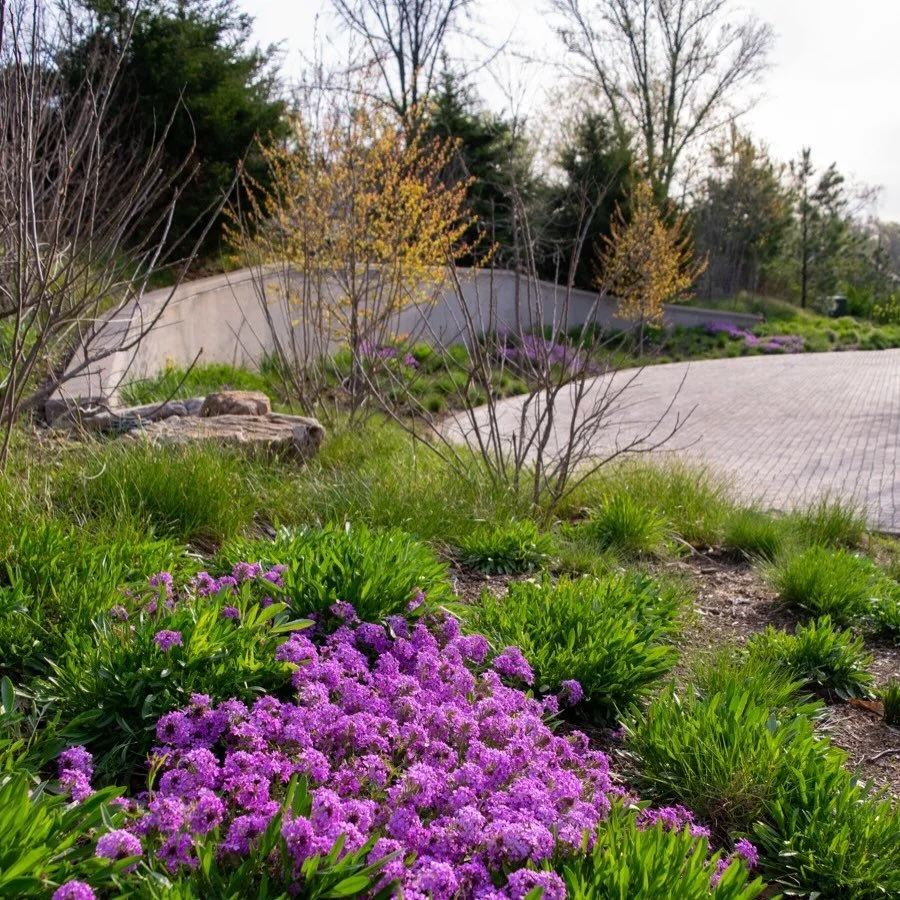 &ldquo;Spring is the time of plans and projects&rdquo; 
Ole Tolstoy is right and we have been busy over here! Taking time to pause and note the buds, smell the blooms and note progress is an important part of the journey, however. 
[#landscapearchite
