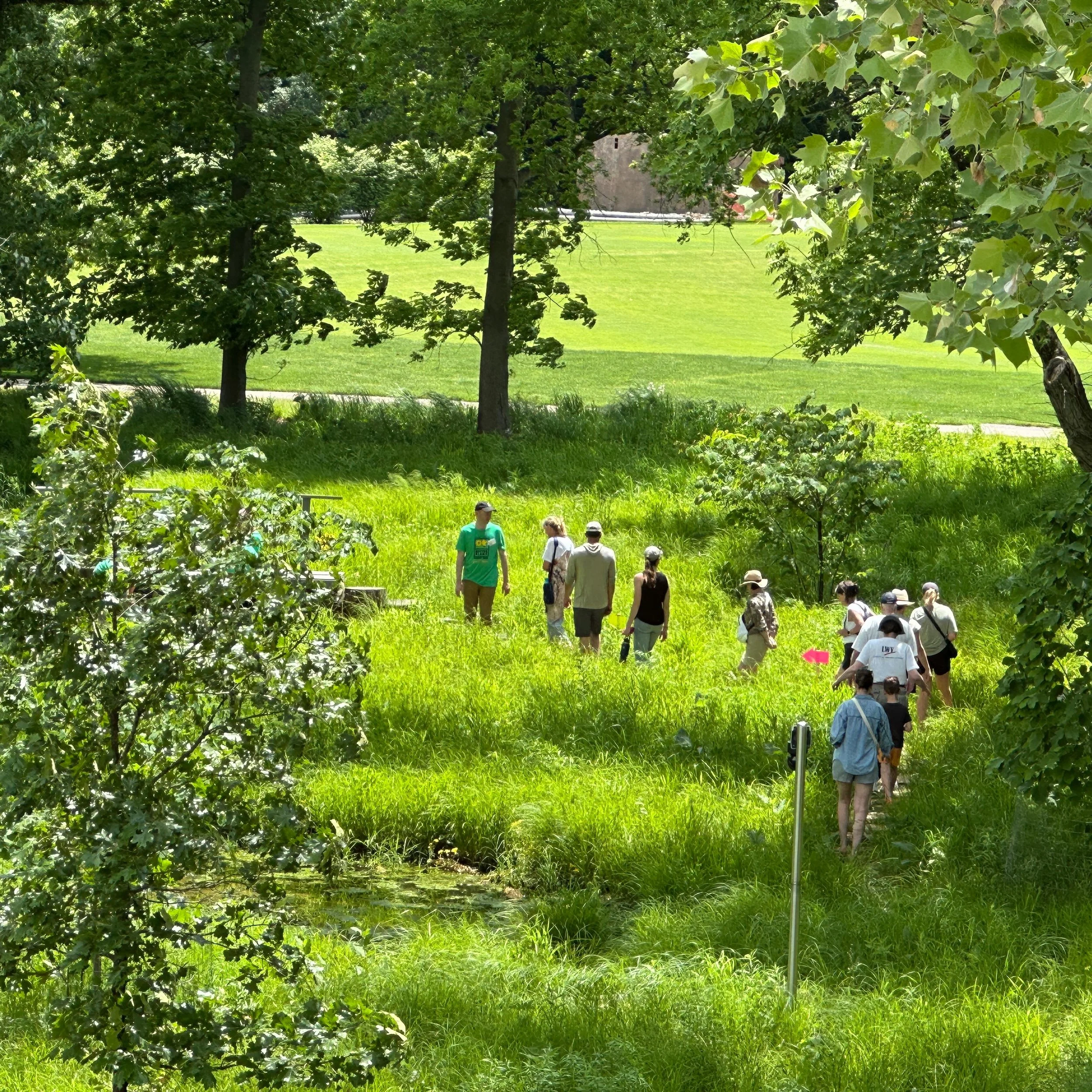 Several of our teammates spent some time yesterday guiding tours of this beautiful, award-winning residential project - Wild Turkey Tract.  Excellent backyard tours coordinated by @audubonsociety through Olivette and Ladue sustainable sites. Beautifu