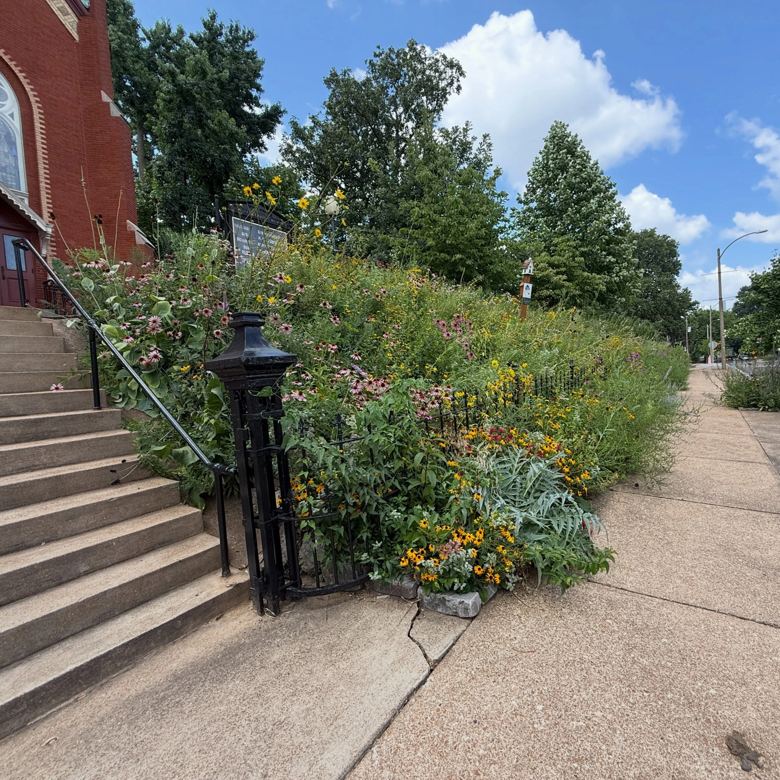 Steamy project introduction walks have us like 🤩☀️
[#stl #newoldclients #visioning #gardensforpeople ]