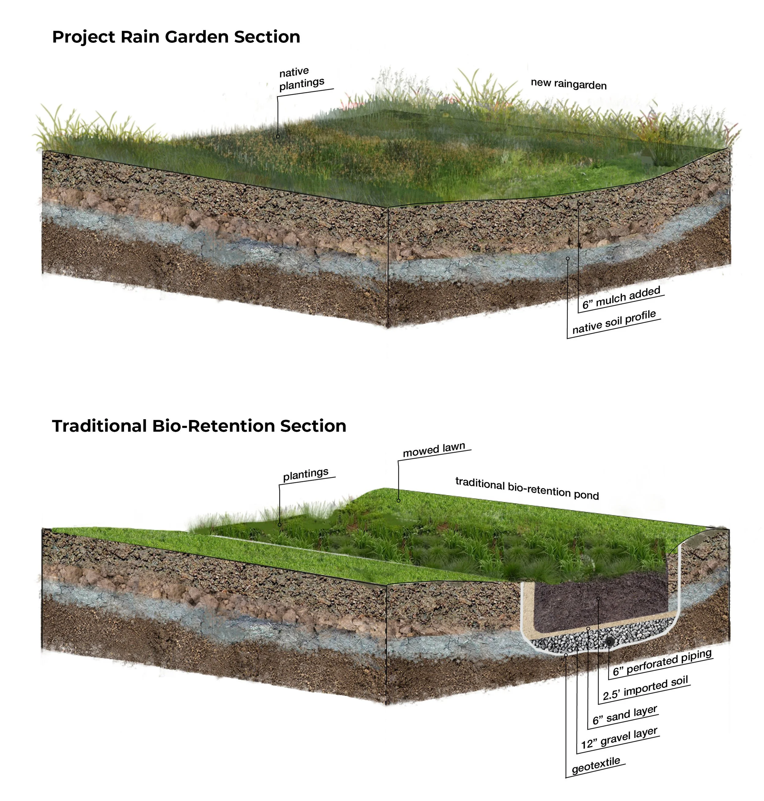 Bayer Creve Coeur Rain Garden — DTLS Landscape Architecture