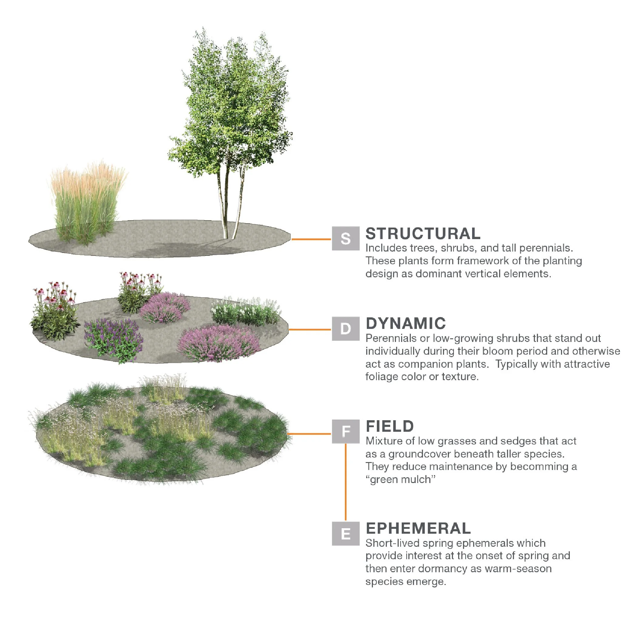 Planting Design