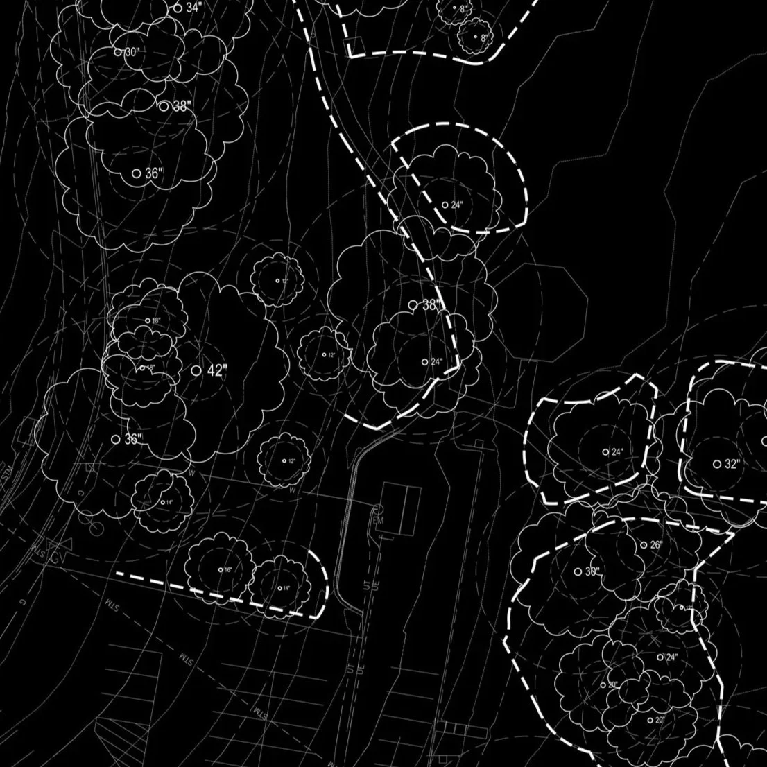 Tree Preservation Plans