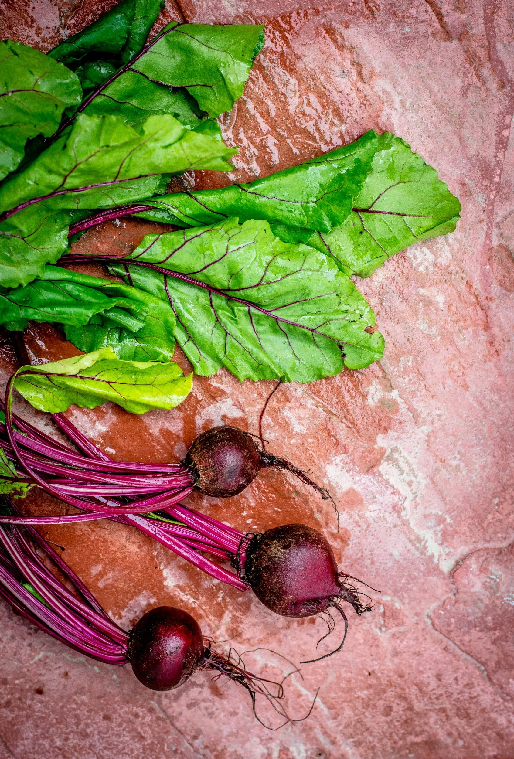 Click on the beets for printable Retreat Recipes including A Beautiful Beet Salad...