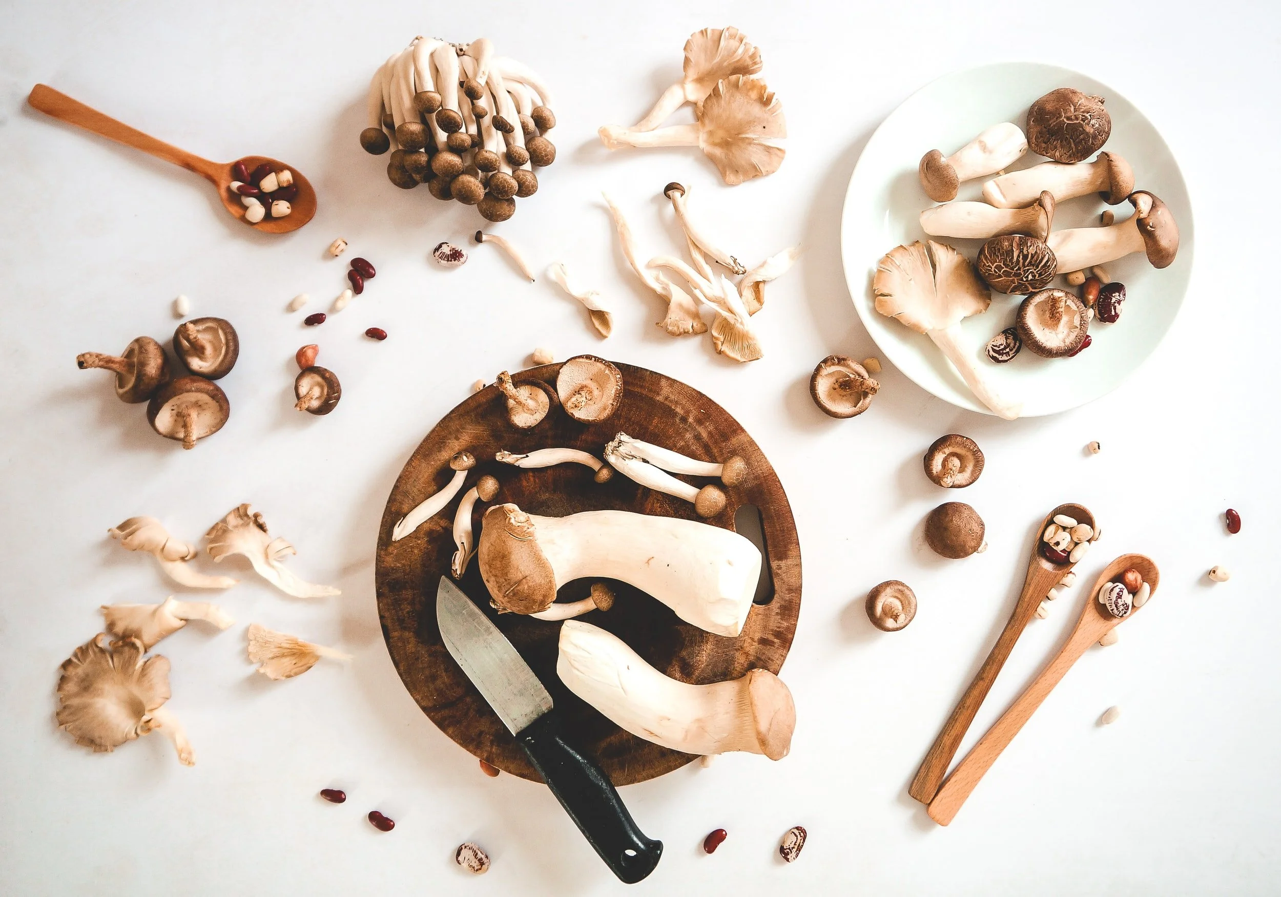 A Lovely Dairy-Free Cream of Mushroom Soup 