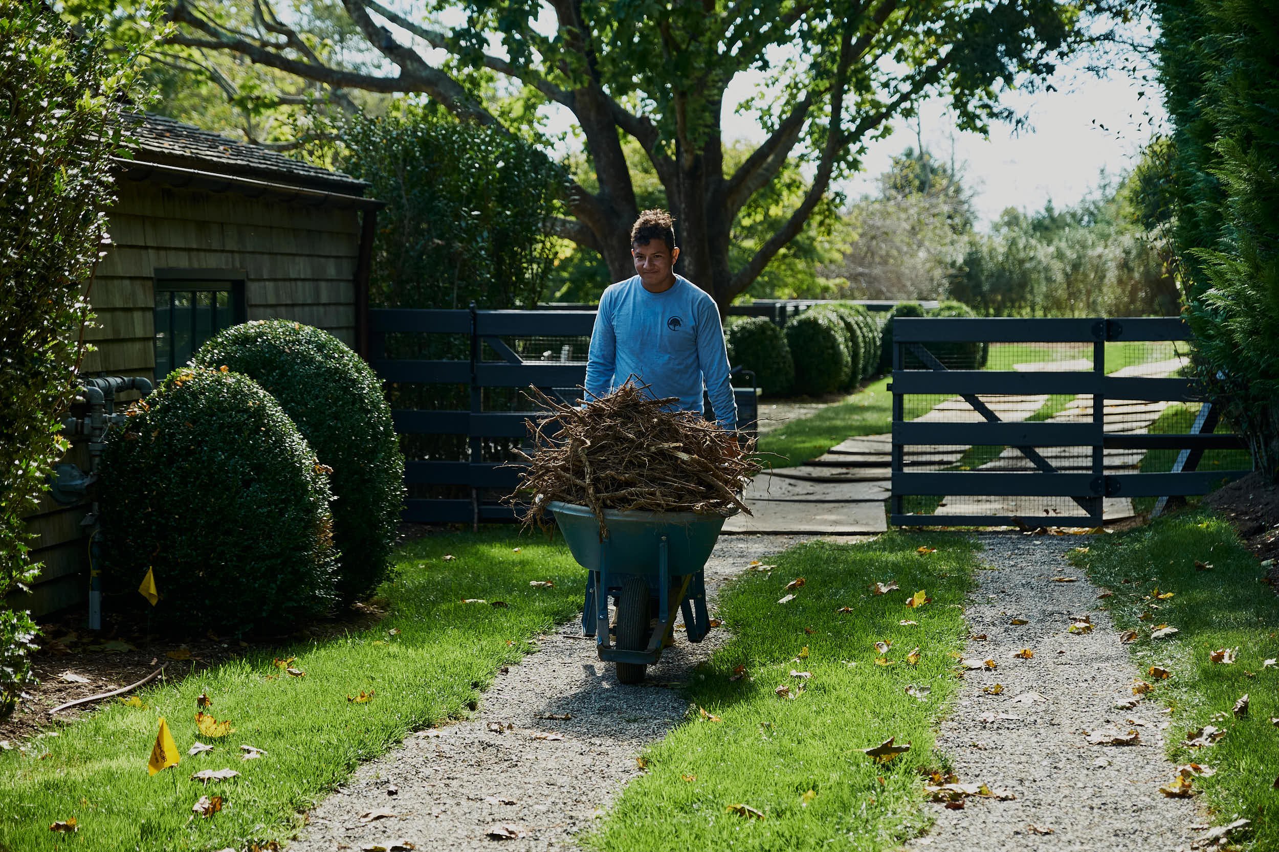 Coastal-Arbor-Care-Landscaping_rdwilliams_CAC-RDWILLIAMS-DSCF0642.jpg