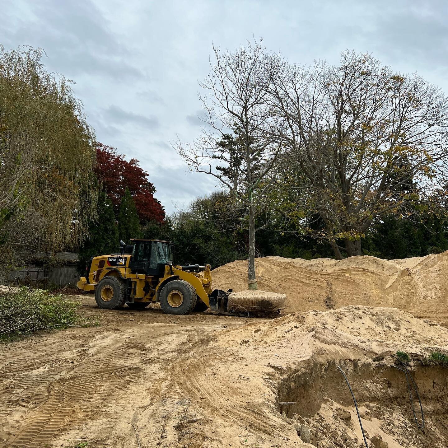 Installing a London Plane tree before access is cut off on new construction project .  #hamptonslandscaping #treemoving #gardening #caterpillar